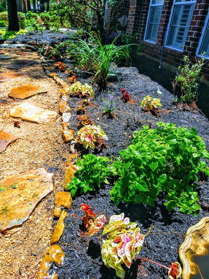 Landscape Design for Moana Magic Landscaping in Houston, Texas