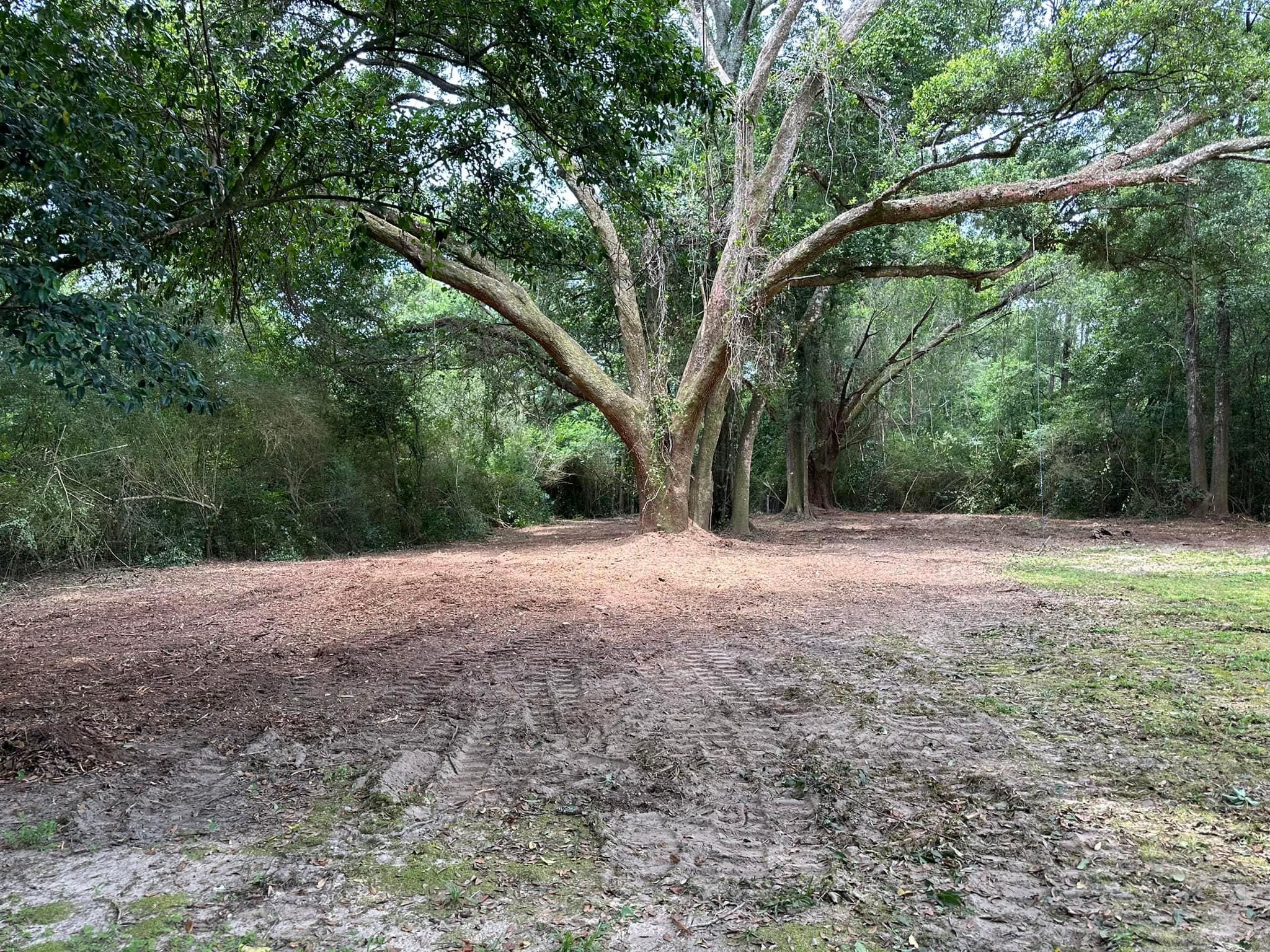 All Photos for White’s Land Maintenance in Milton,, FL