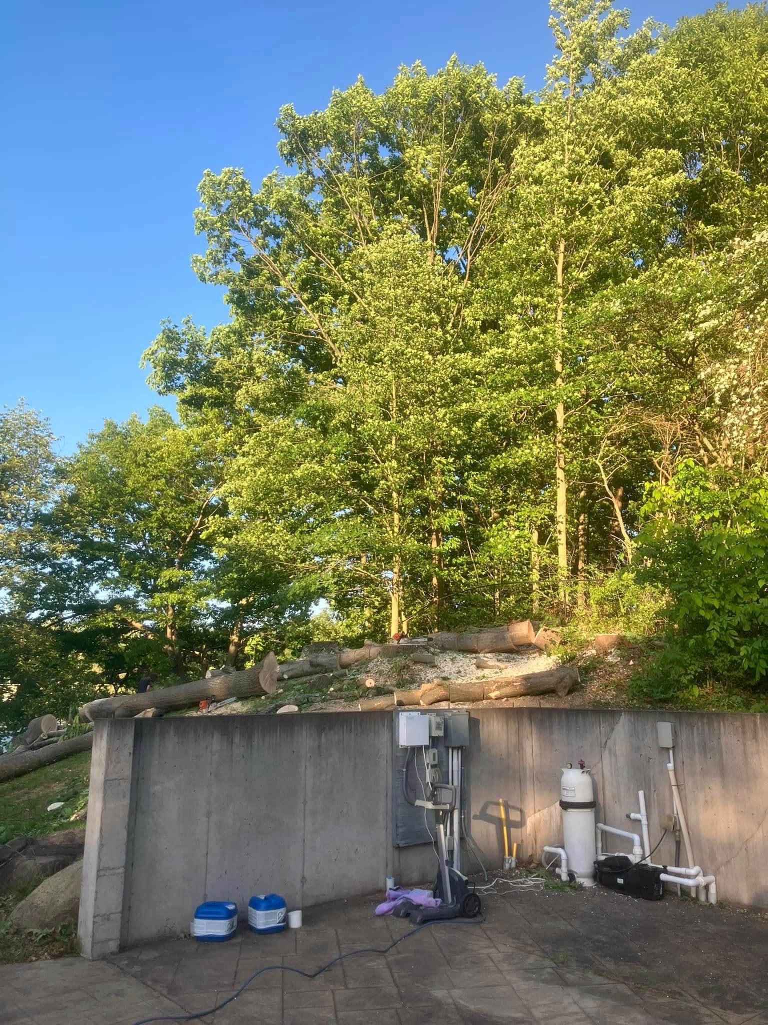  for Lovenguth Logging and Tree Service in West Monroe, NY