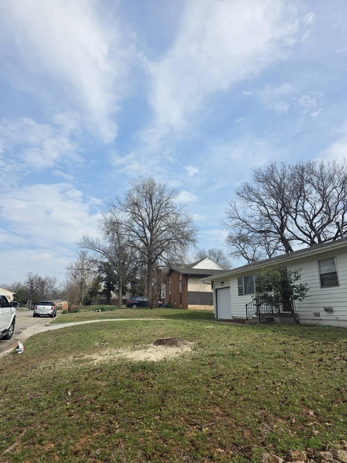  for Oklahoma Tree Guy in Bartlesville, OK