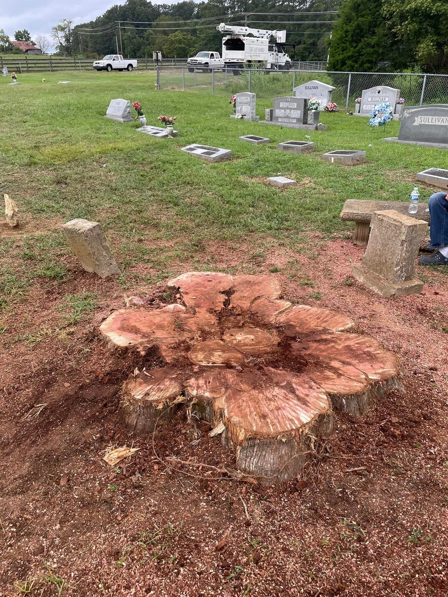  for T&T Lot Works in Kingston Springs, TN