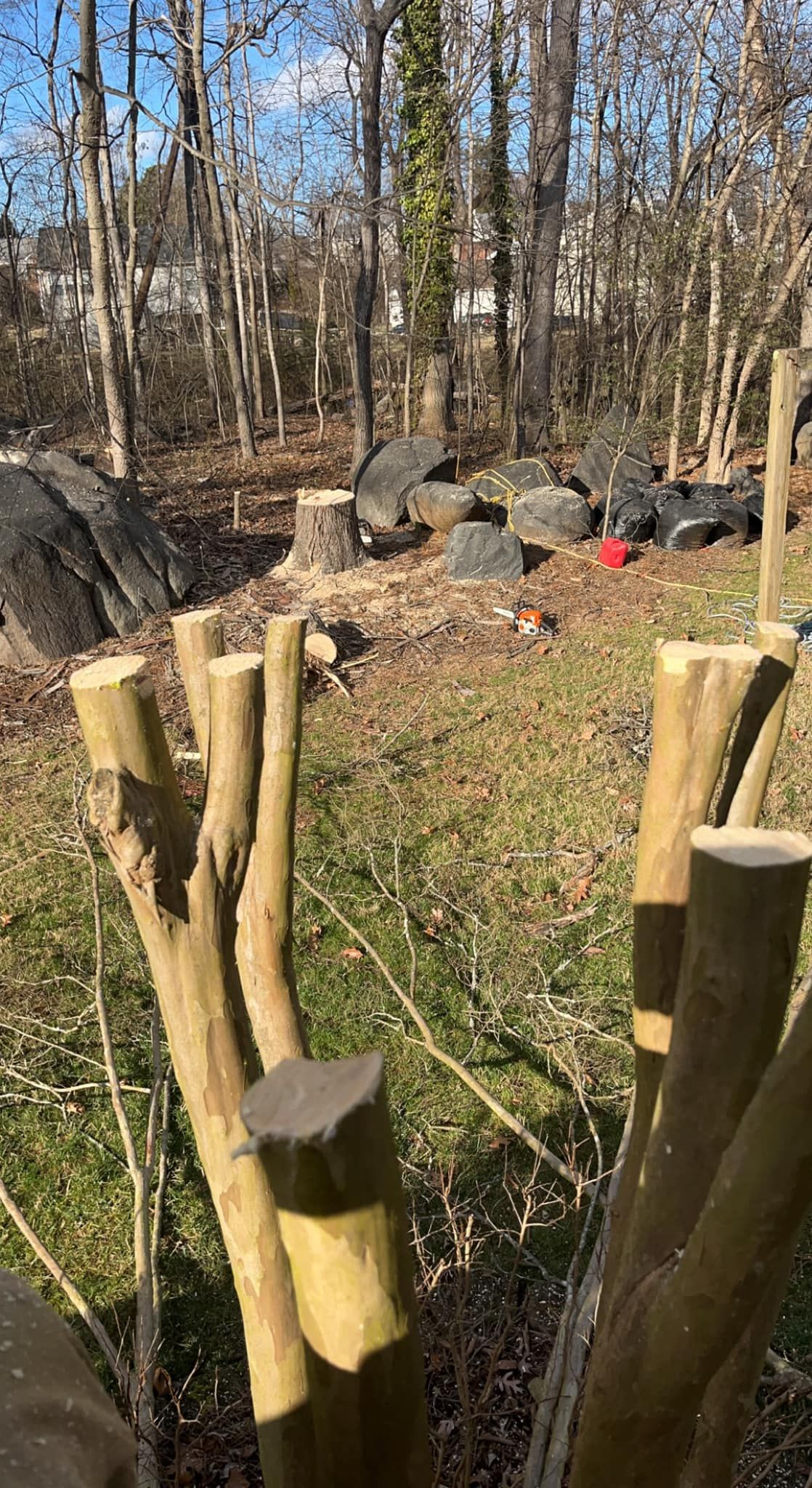  for DW’s Tree Service in Winston-Salem, NC