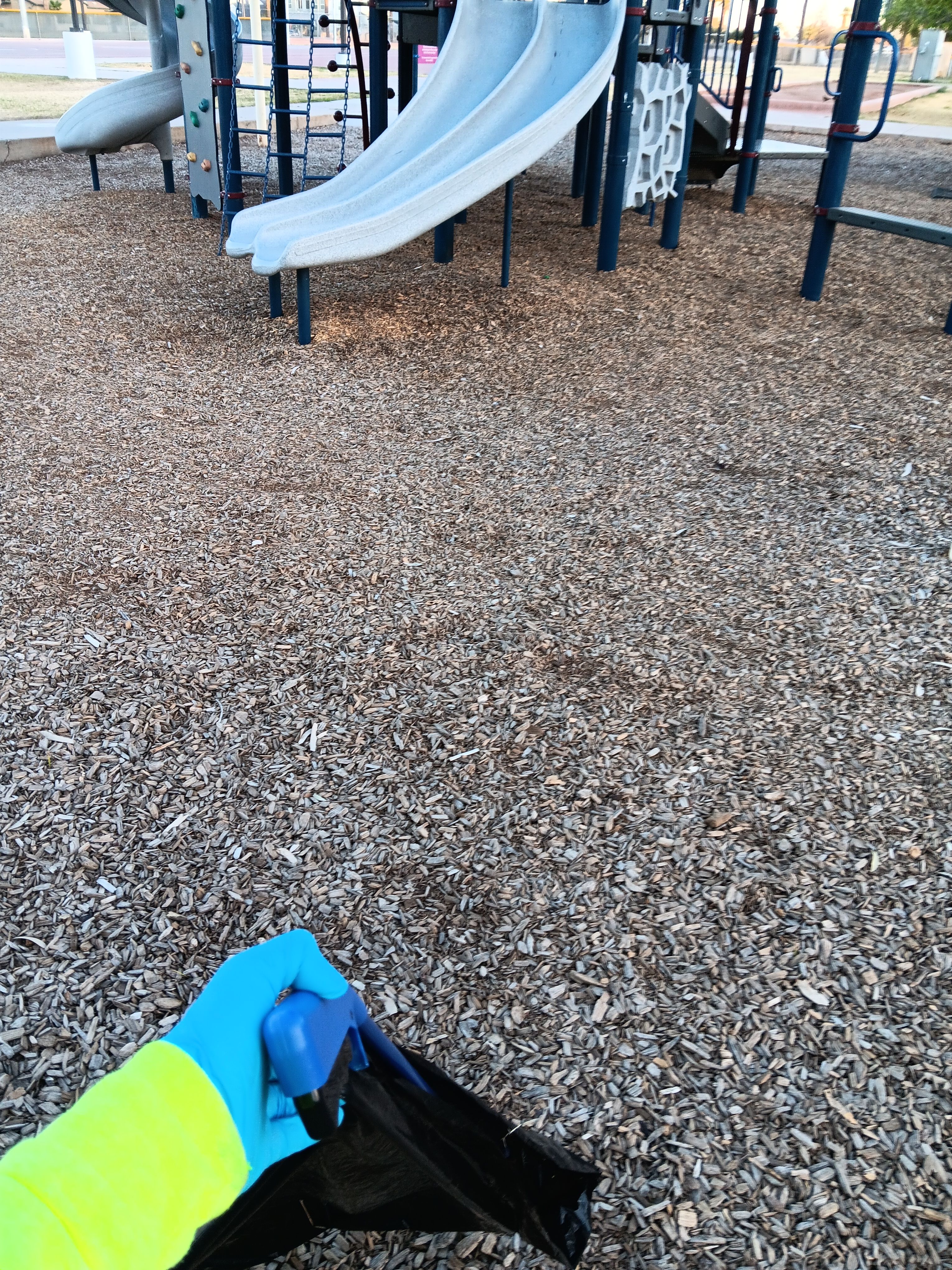  for Family Landscaping in Phoenix, AZ