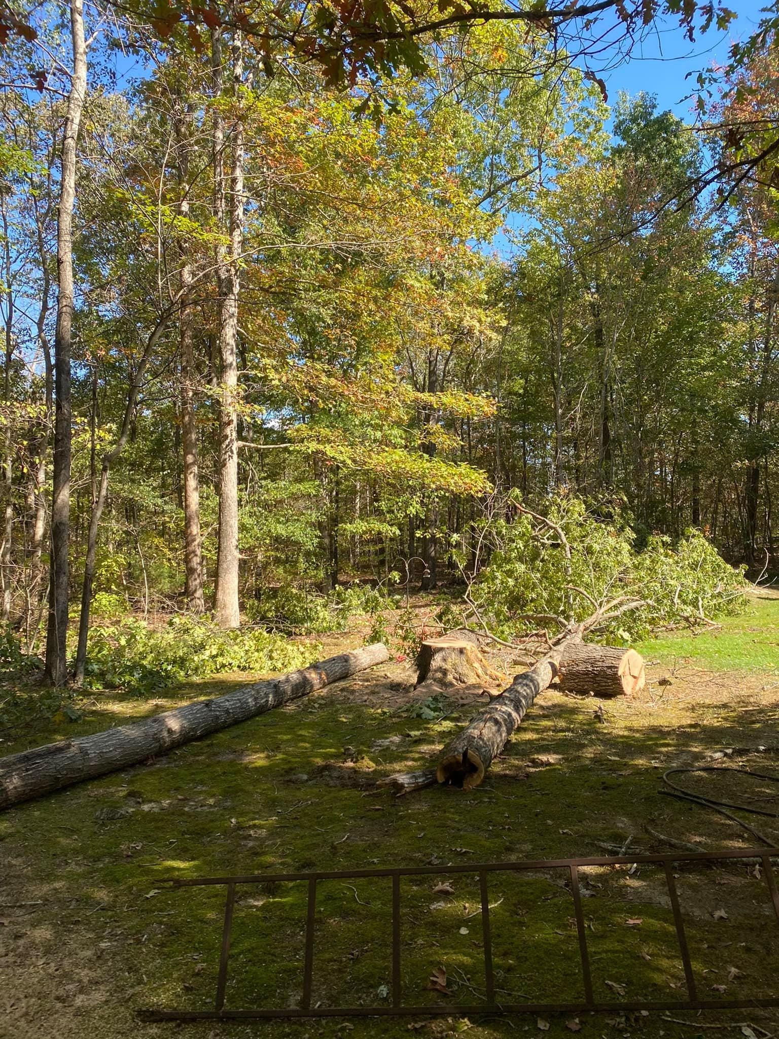 Fall and Spring Clean Up for Atwood’s Tree Care in Liberty,  KY