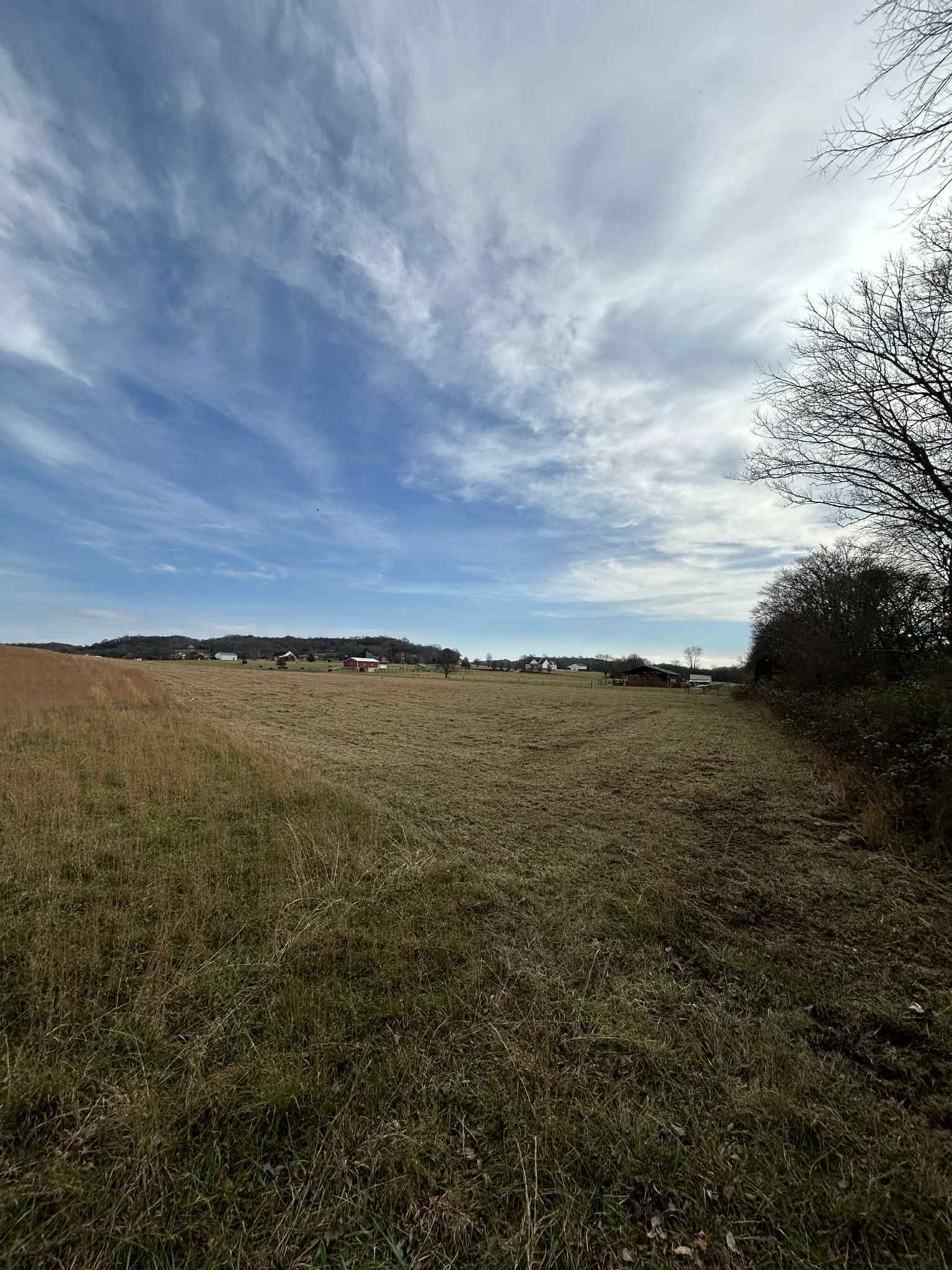  for Z's Land Management & Forestry Mulching in Smithville, TN