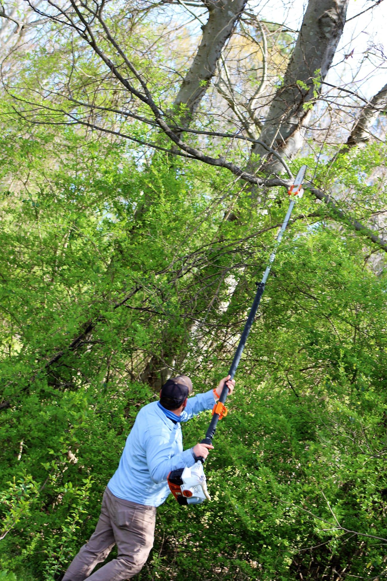  for DNA Tree Service in Birmingham, AL