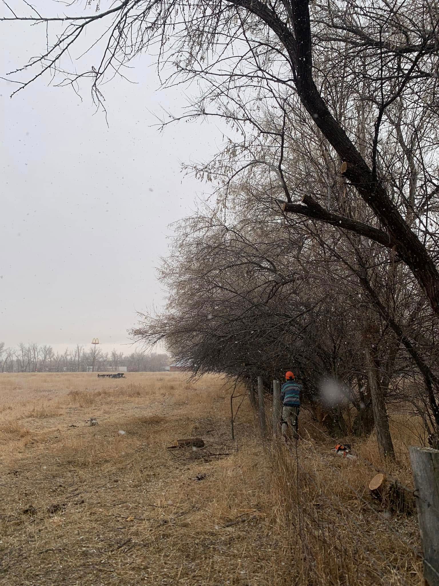  for Two Fellers Tree Service in Buffalo, WY