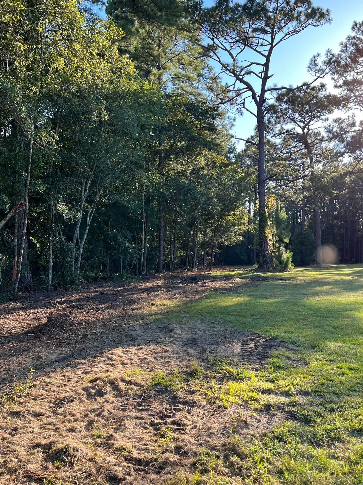 Tree Removal for Thompson Forestry Mulching & Stump Grinding in Douglas, GA