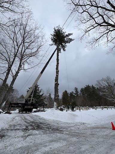  for Clifford’s Quality Tree Care & Landscaping in Enfield, NH