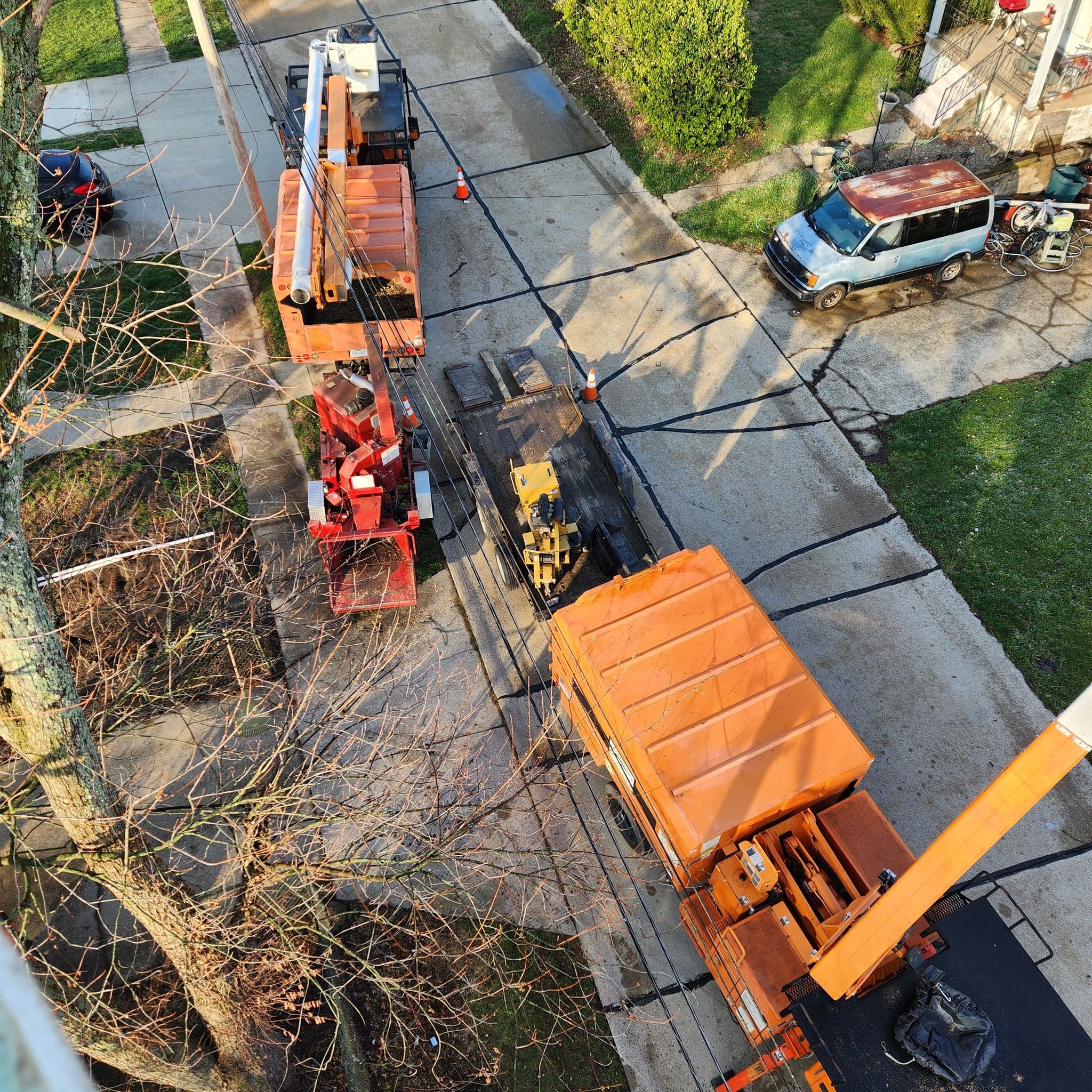  for Carpenter's Tree Service in Aurora, IN