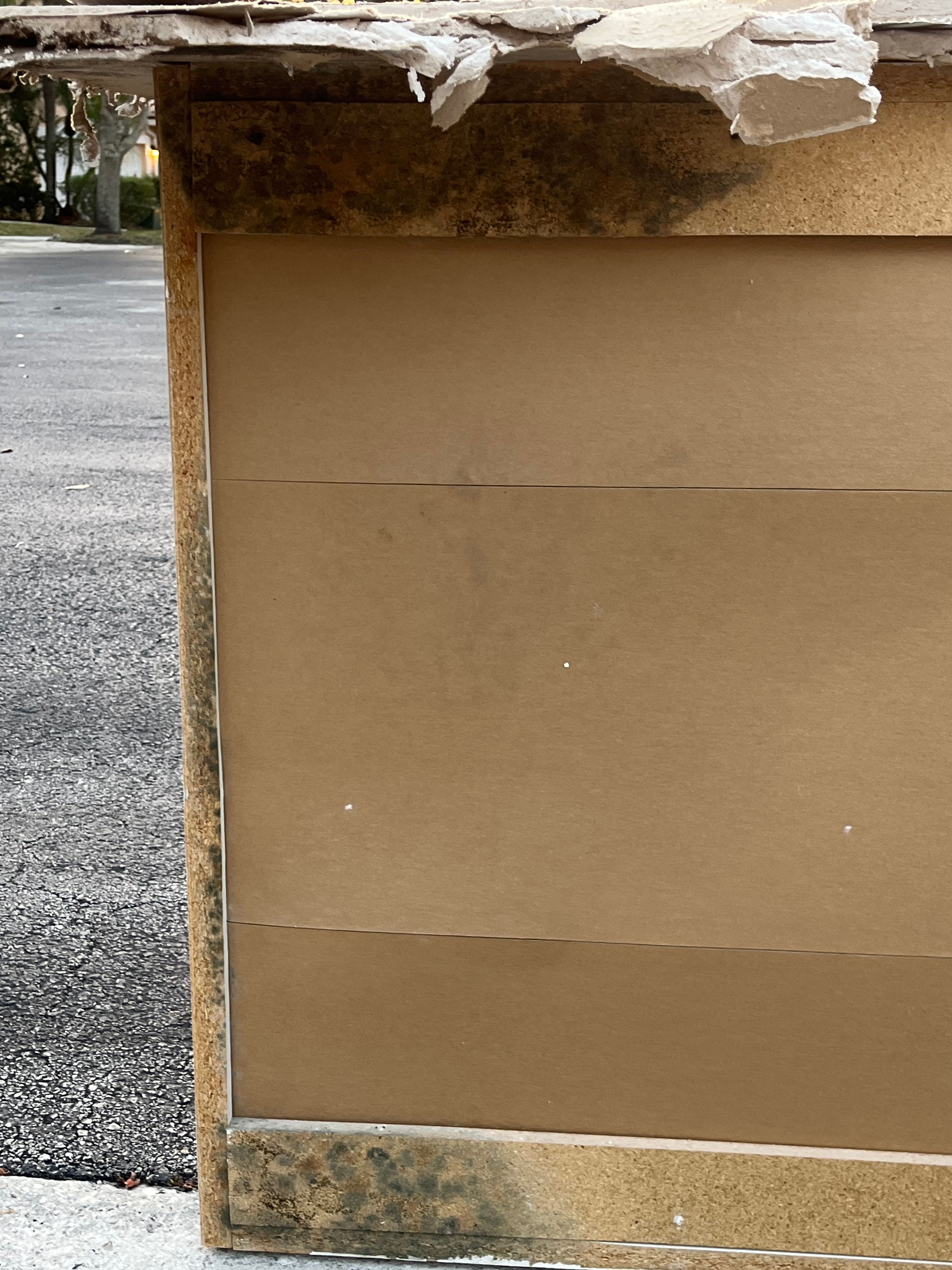  for Surplus Public Adjusters in Miami-Dade County, FL