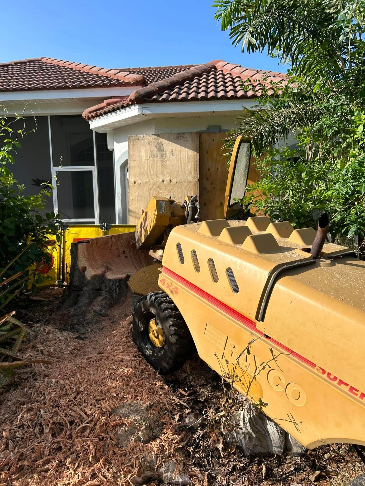  for Grizzly Stump Grinding in Sarasota, FL