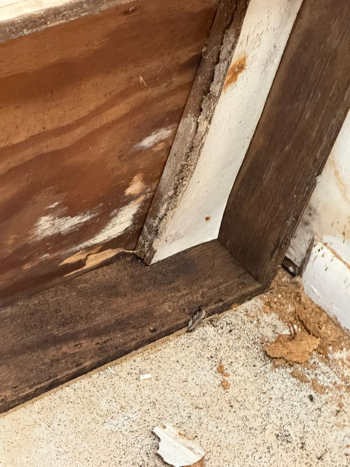  for N&D Restoration Services When Disaster Strikes, We Come In in Cape Coral,  FL