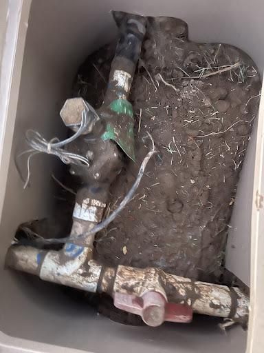  for Oliver L. Palm & Tree services in Yuma County, AZ