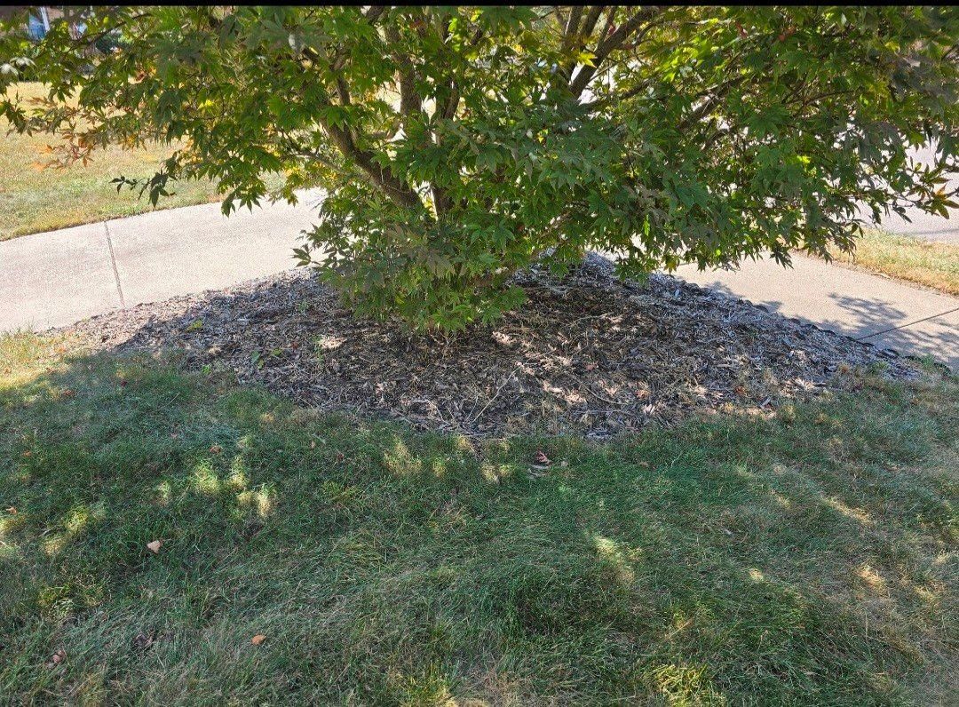 All Photos for Tingley's Green Land Services in Springfield, Ohio