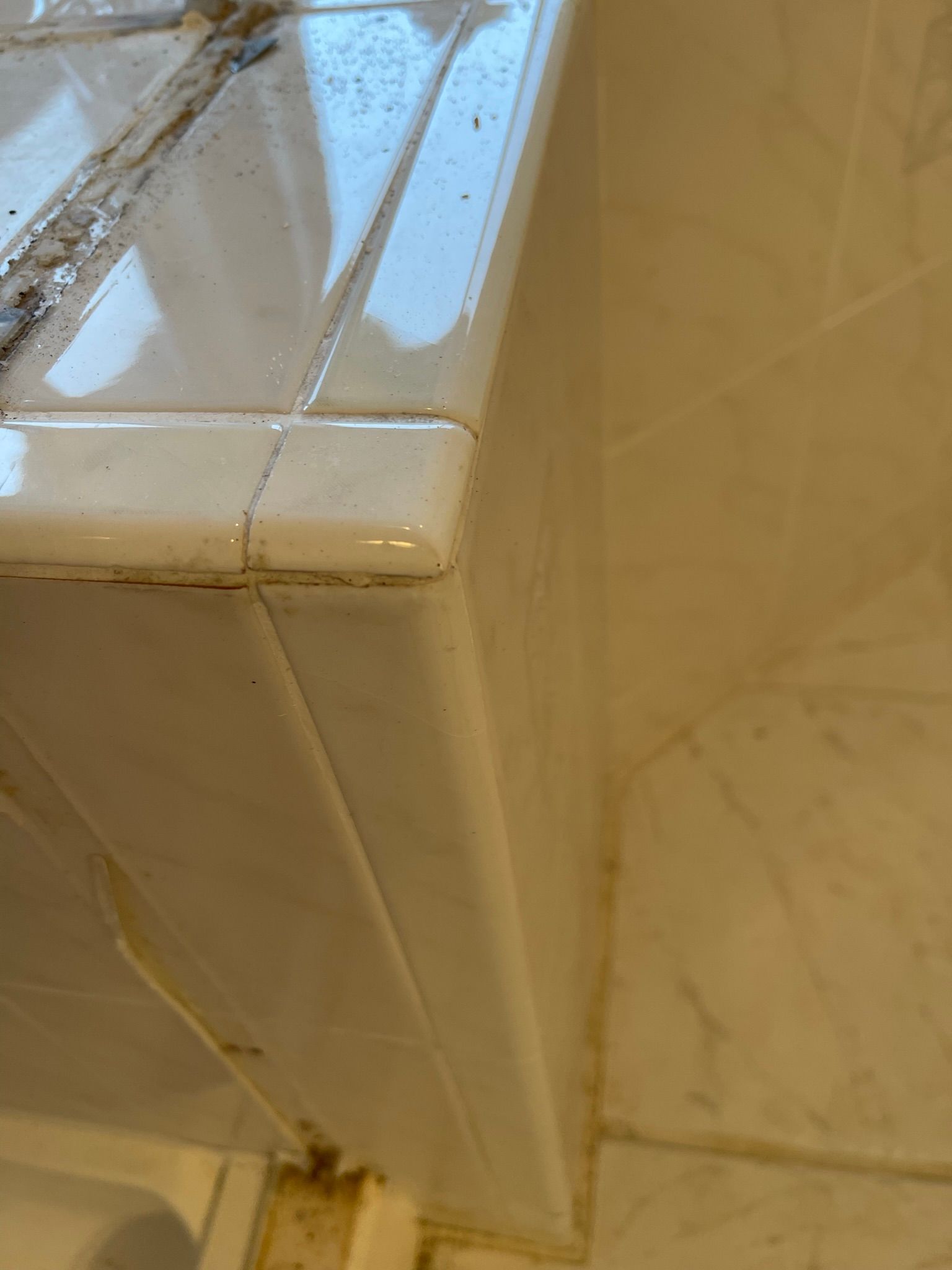  for Tony's Remodeling & Painting in Renton, WA