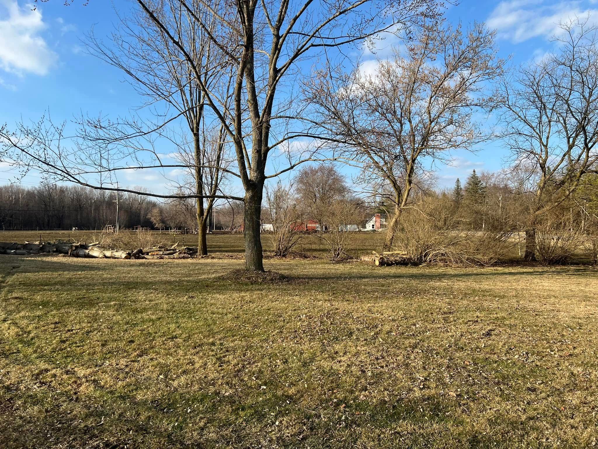 All Photos for The Bucking Arborists in Flint, MI