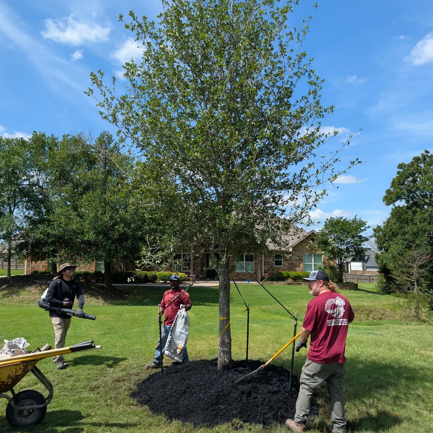 All Photos for Brazos Valley Greenscapes in College Station, TX