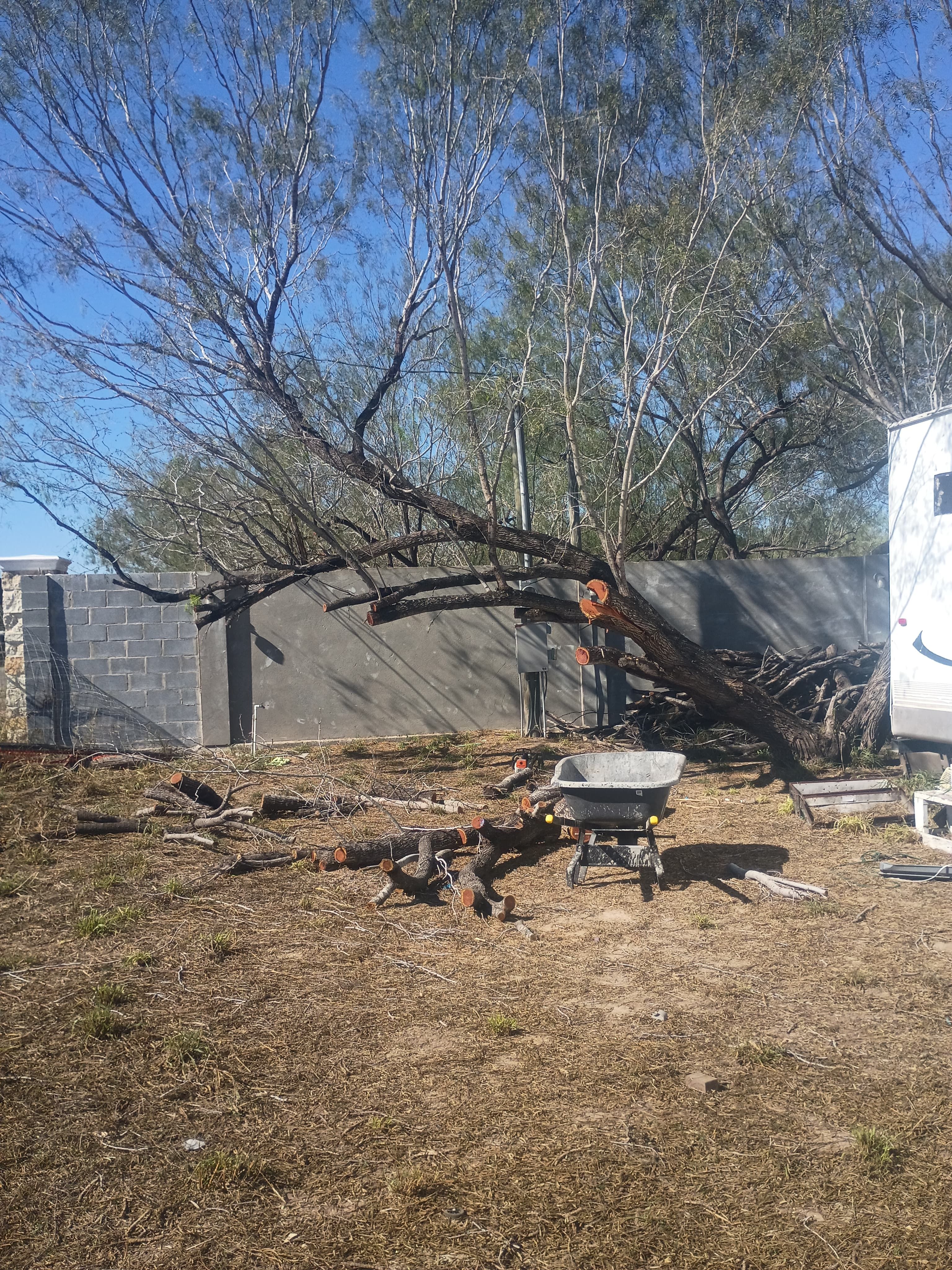  for Pro Lawn Care RGV in McAllen, TX