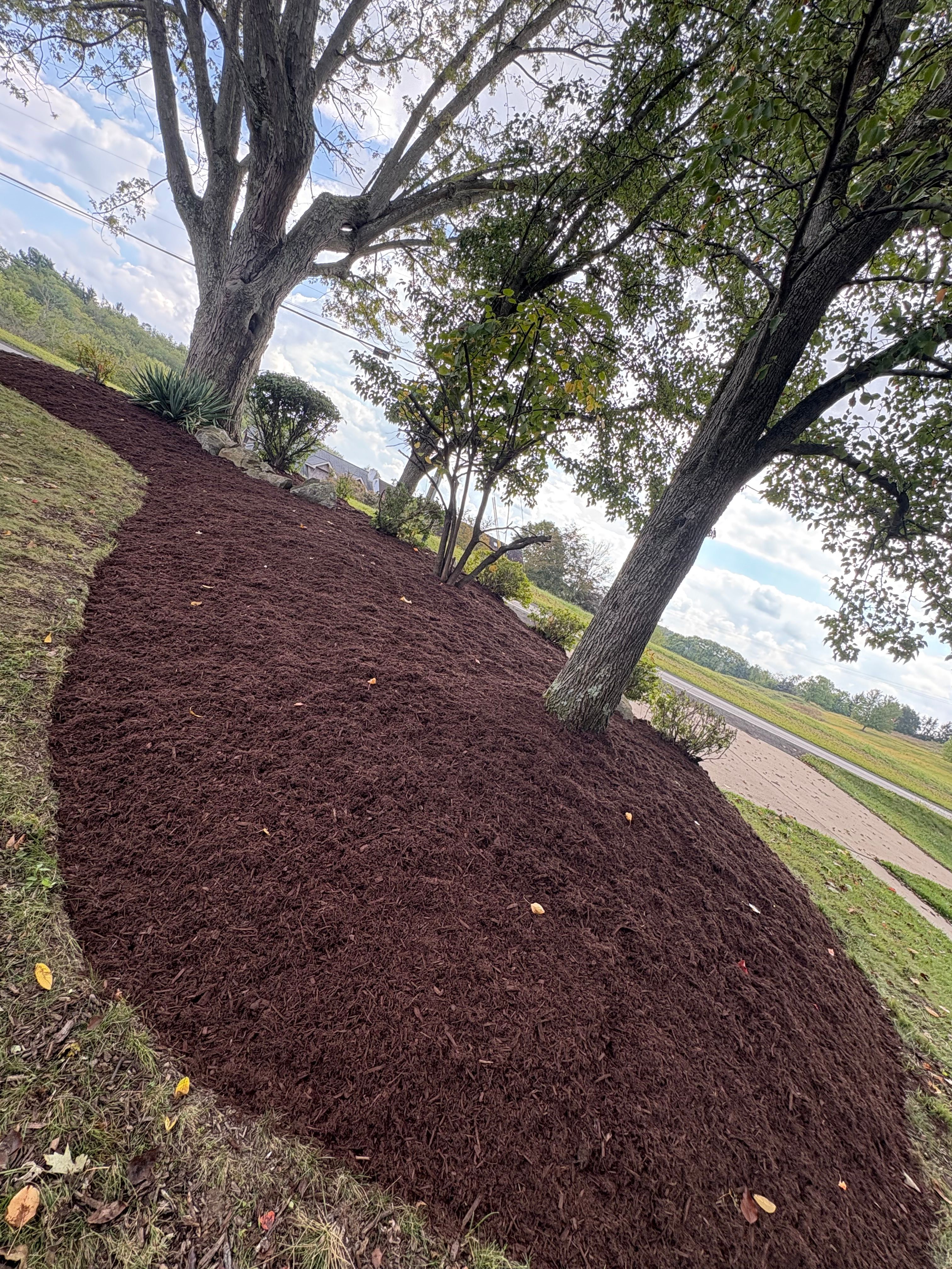  for Cam Yardz in Washington, PA