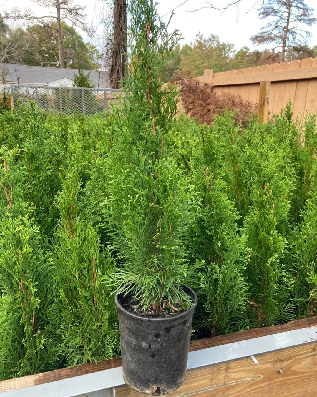All Photos for S&R Landscaping and Nursery in Charlotte, NC