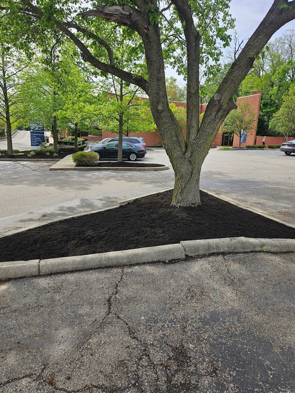  for Tel Ma Landscaping Maintenance LLC  in Urbana, OH
