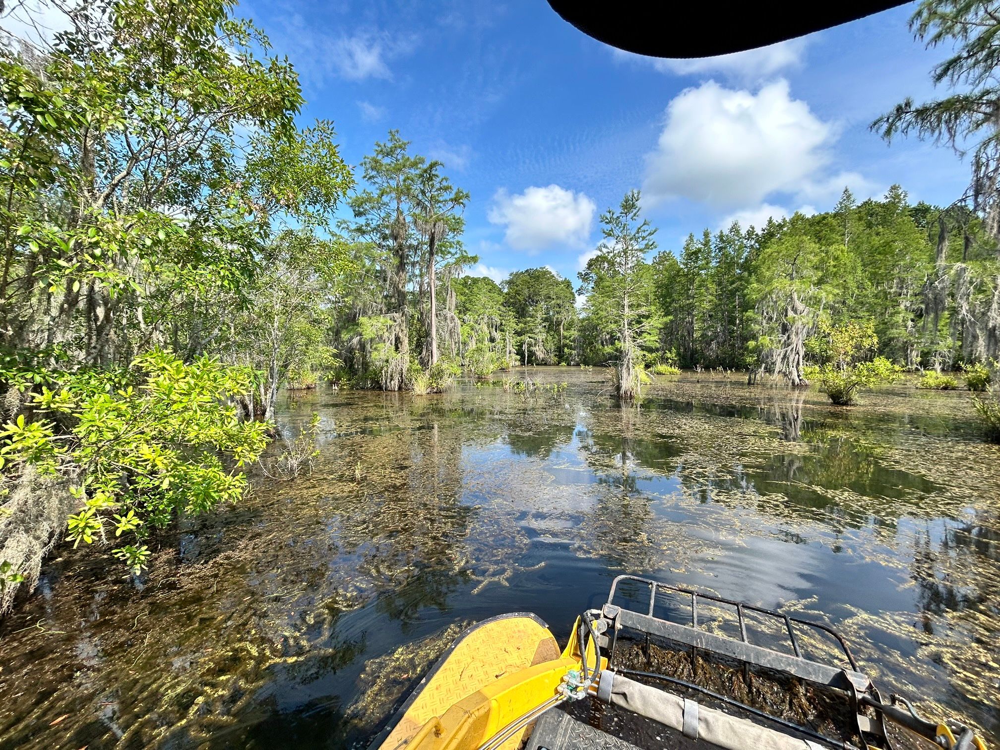  for Southeast Aquatic Land Services LLC  in Waycross, GA