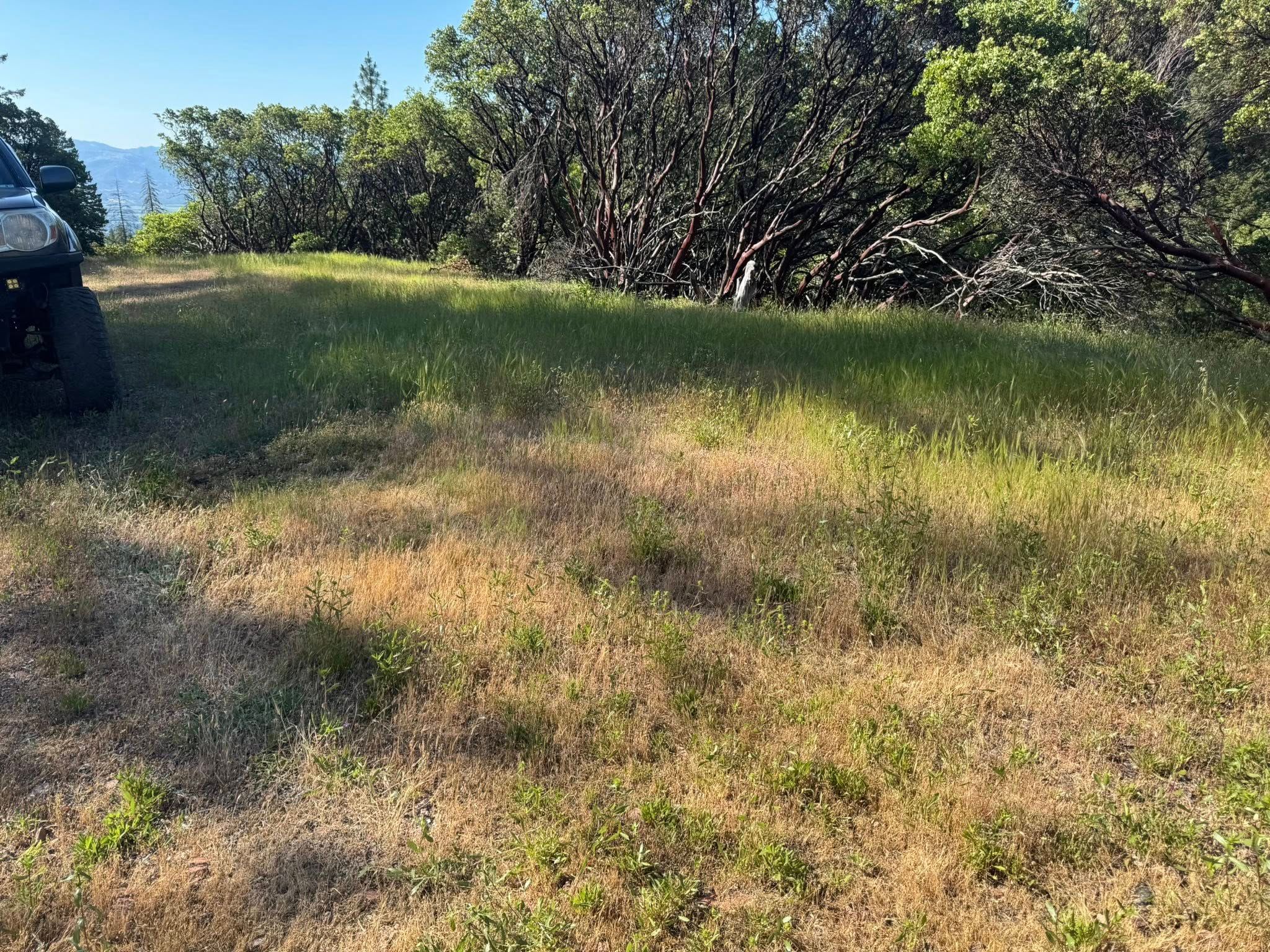 Fire Prevention for Stanisloo’s Landscaping and Services in Potter Valley, CA