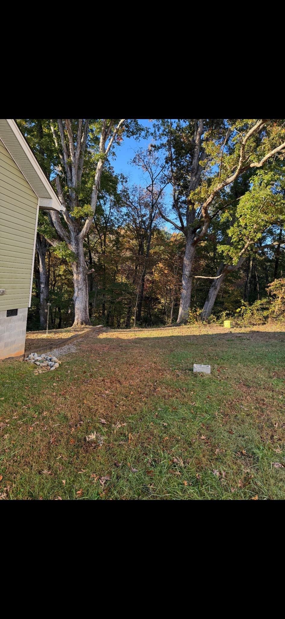  for Leal’s Lawn Service in Dayton, TN