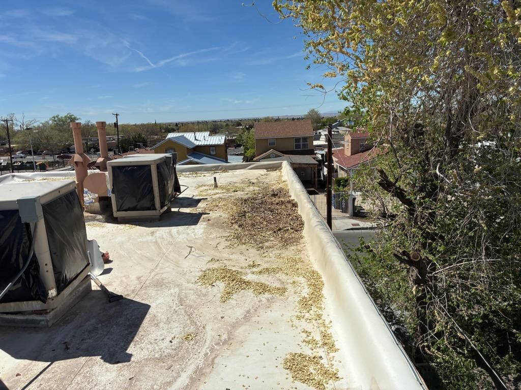 All Photos for Tree Service Miracles in Albuquerque, NM