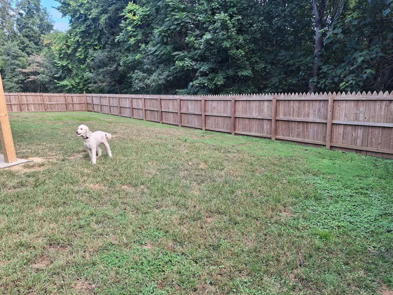  for P Martinez Painting in Salem, VA