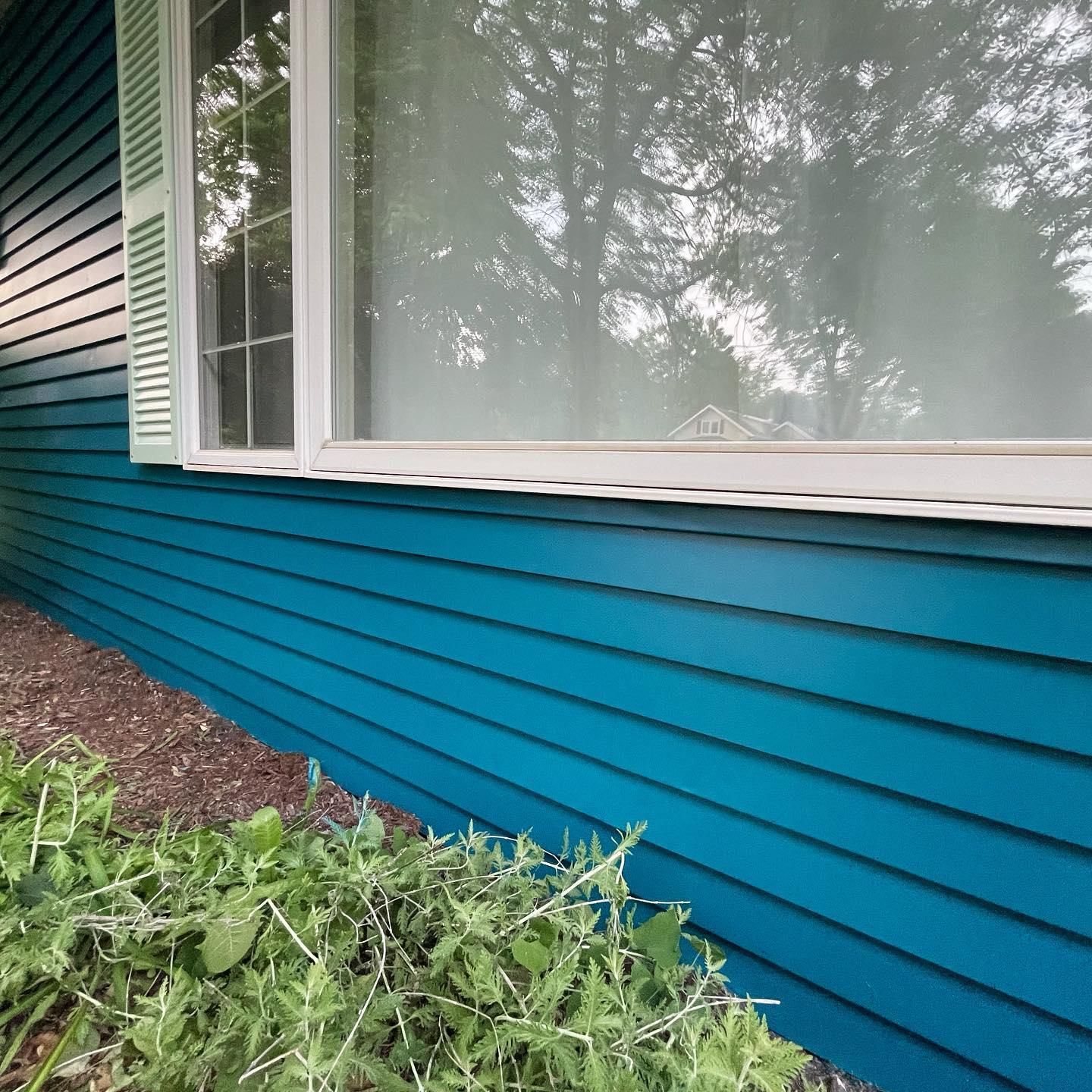  for Apex Painting in Livonia, MI