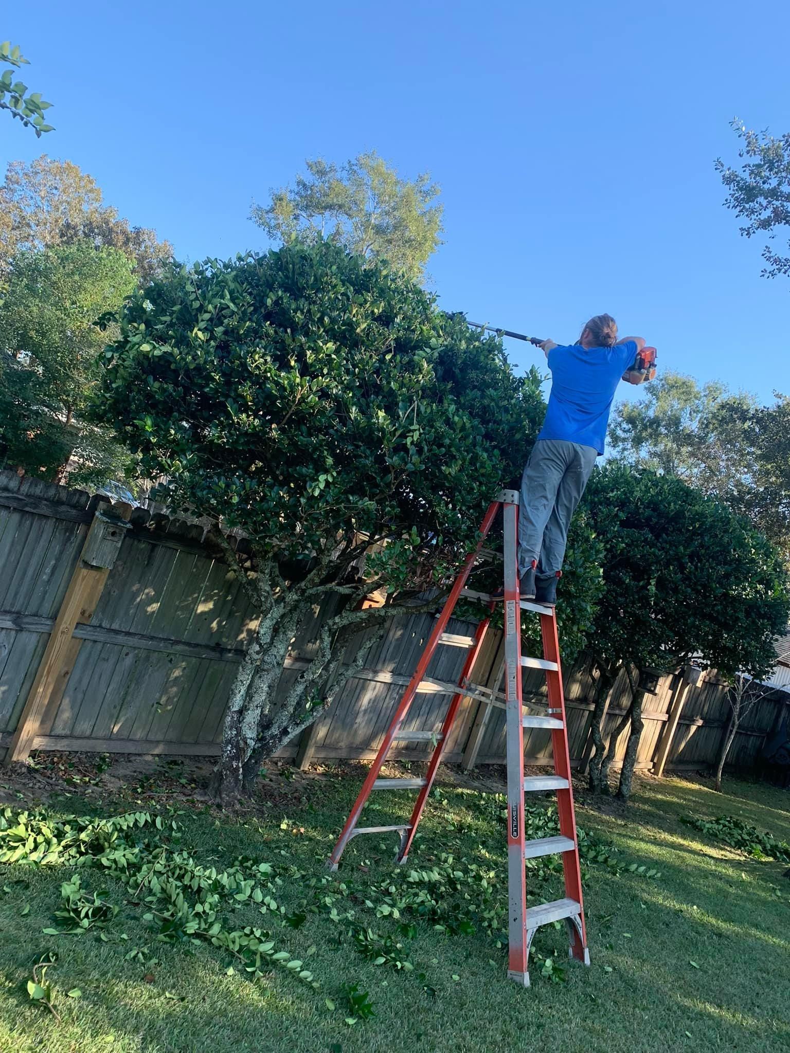  for All-Star Lawn Care & Soft Washing in Mobile, AL