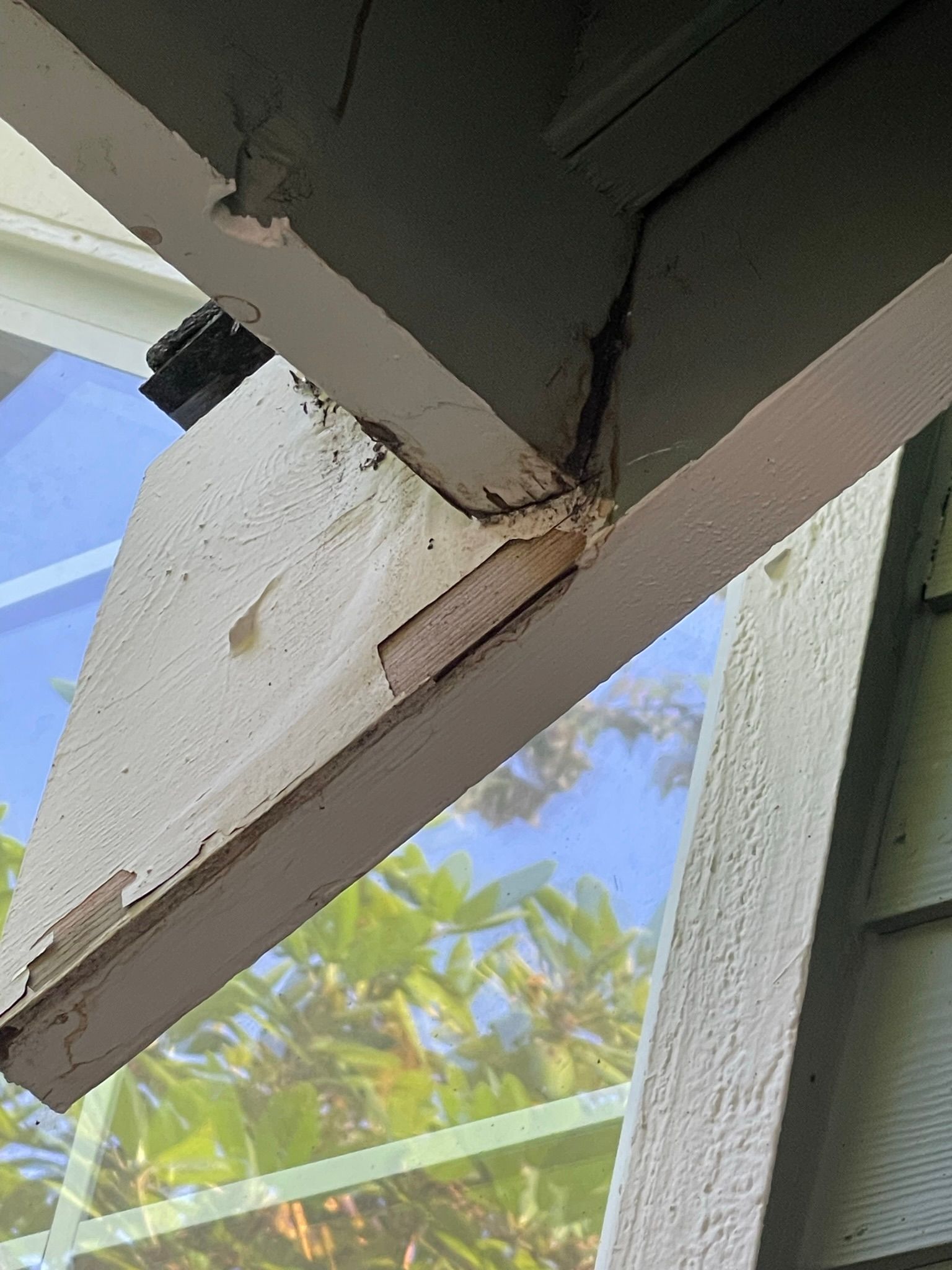  for Tony's Remodeling & Painting in Renton, WA