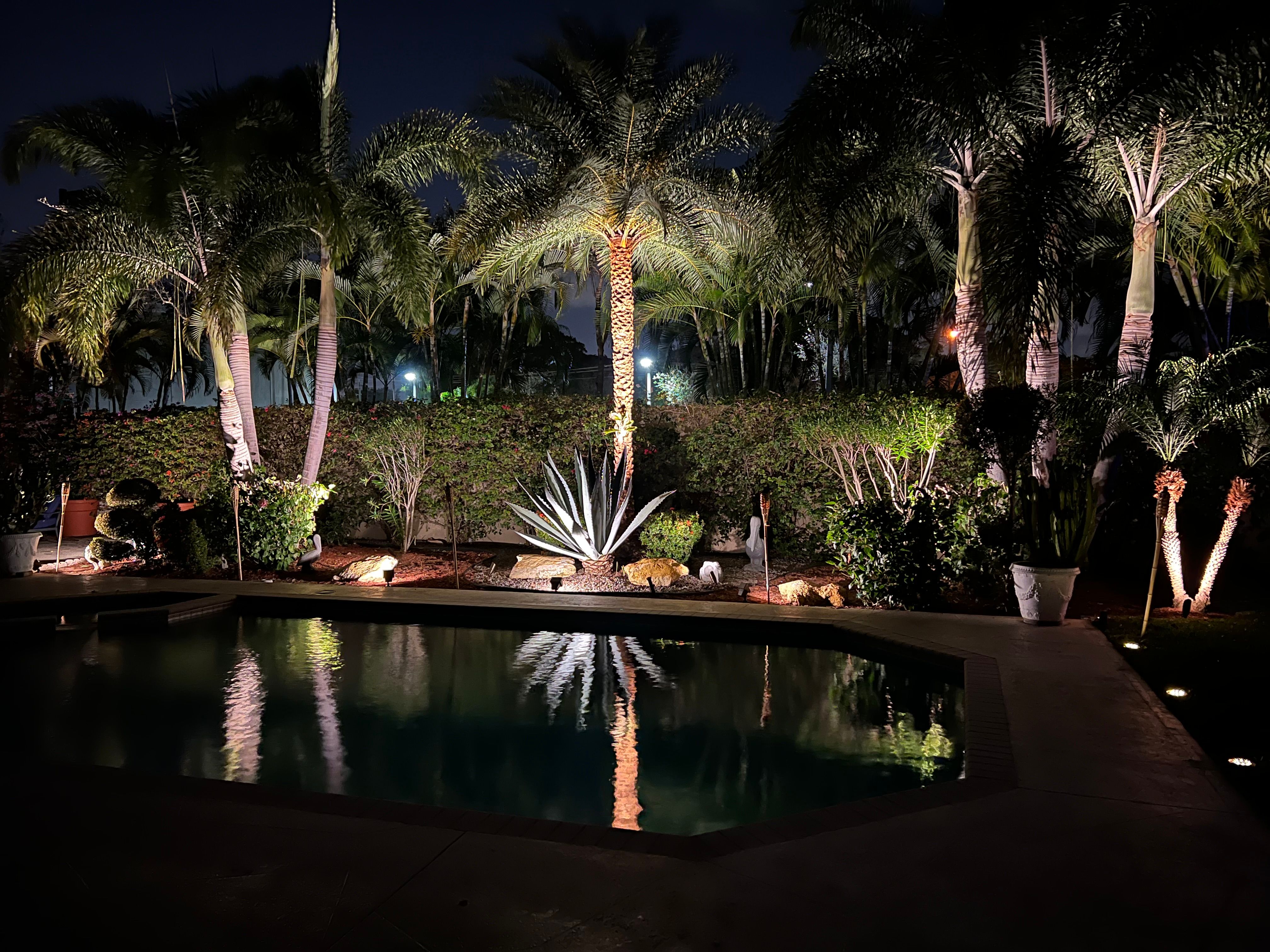 All Photos for An Extravagant Landscape & Lawn Service in Delray, FL