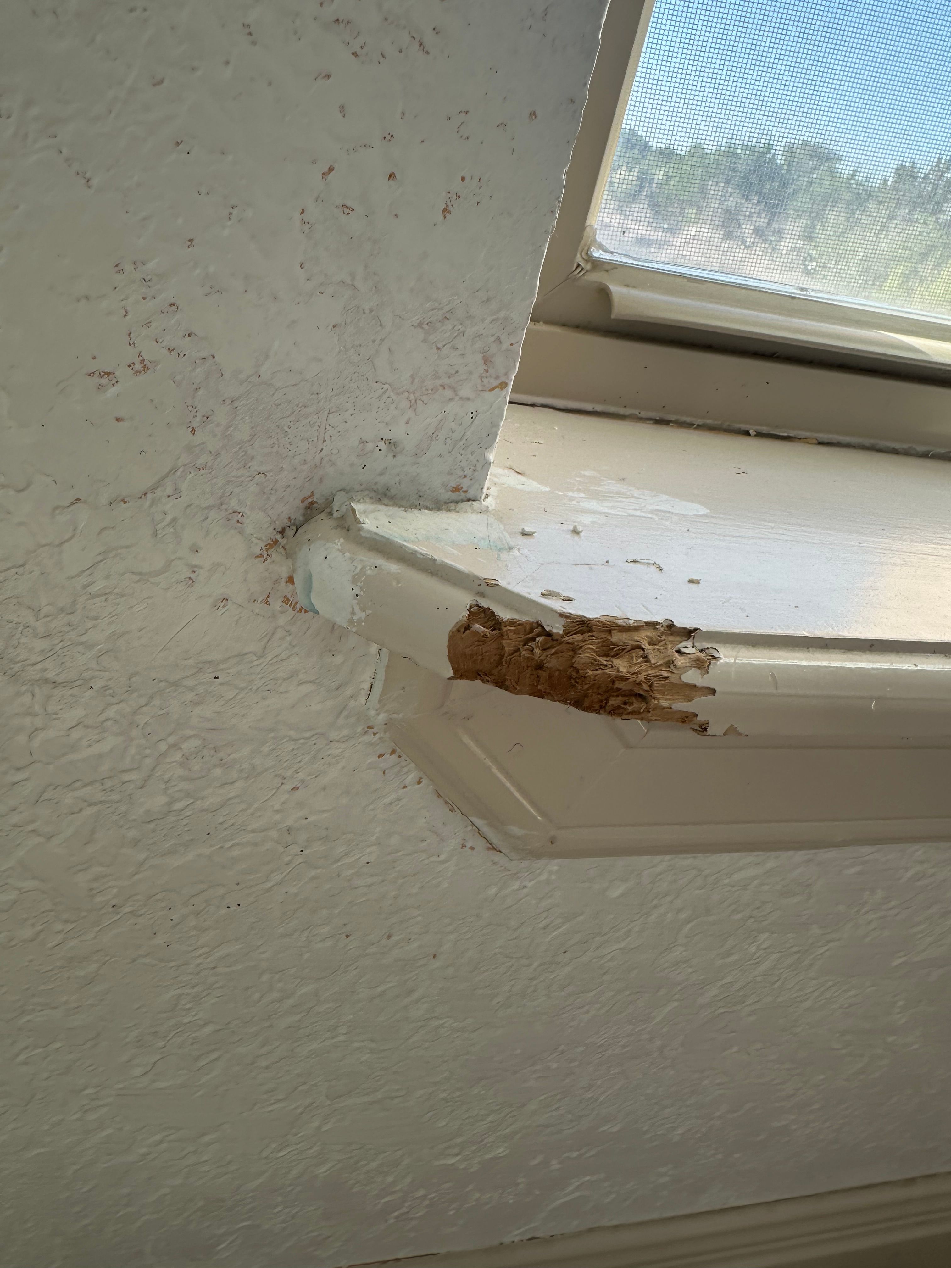  for GEOS Painting in New Braunfels, TX