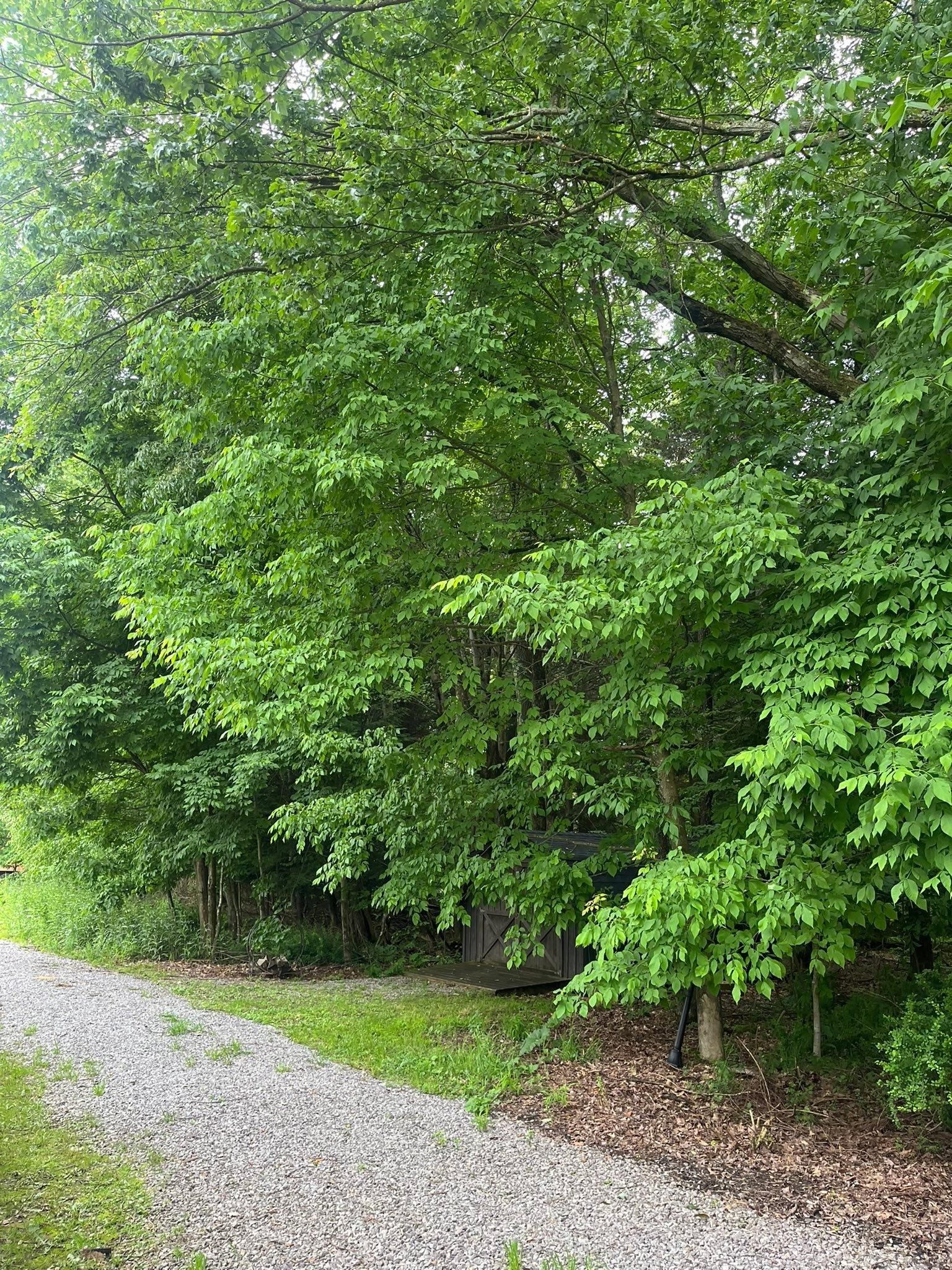  for J&E Tree & Excavation Services in Sandy, PA