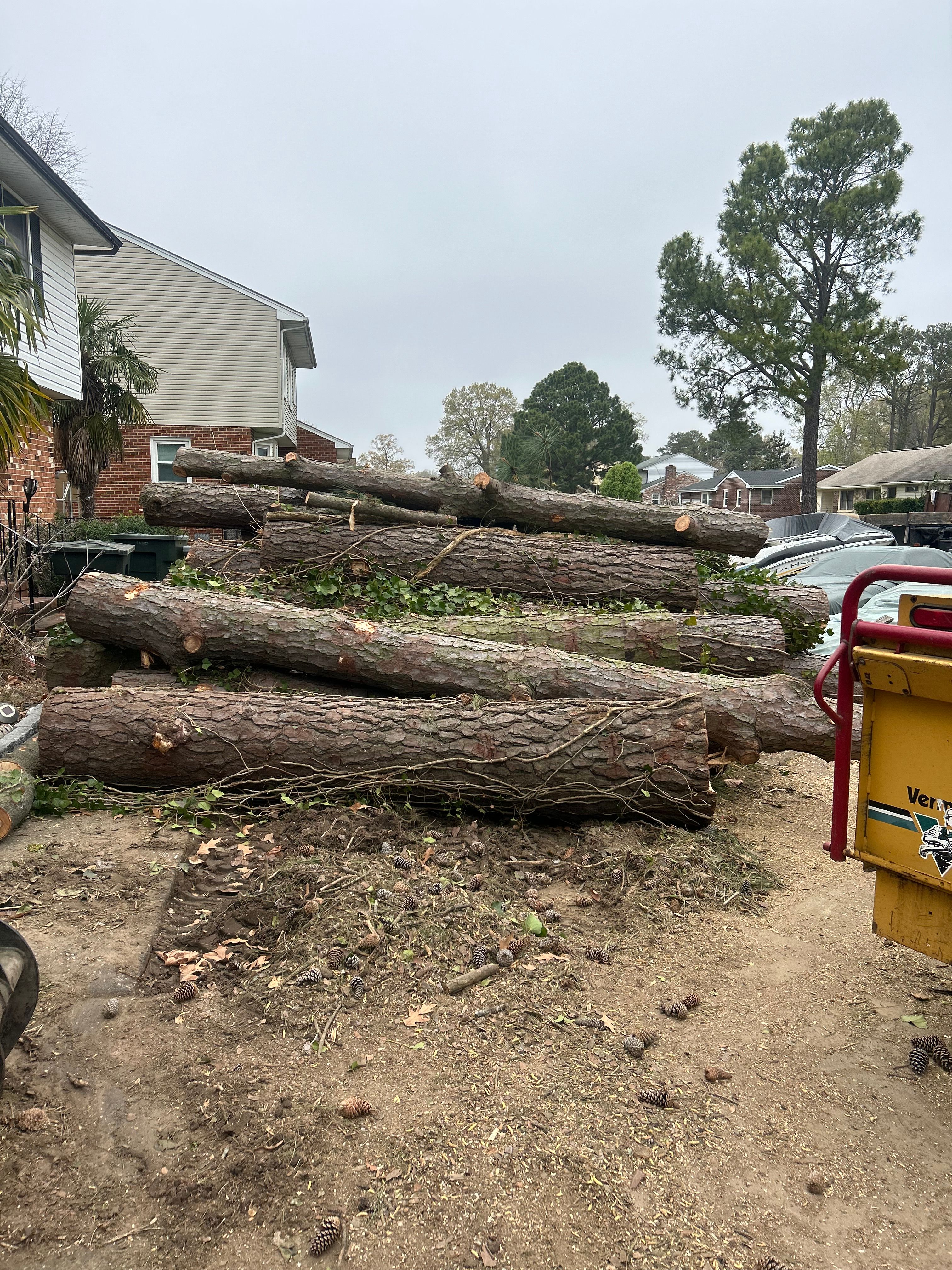  for Big Bear Tree Service in Newport News, VA