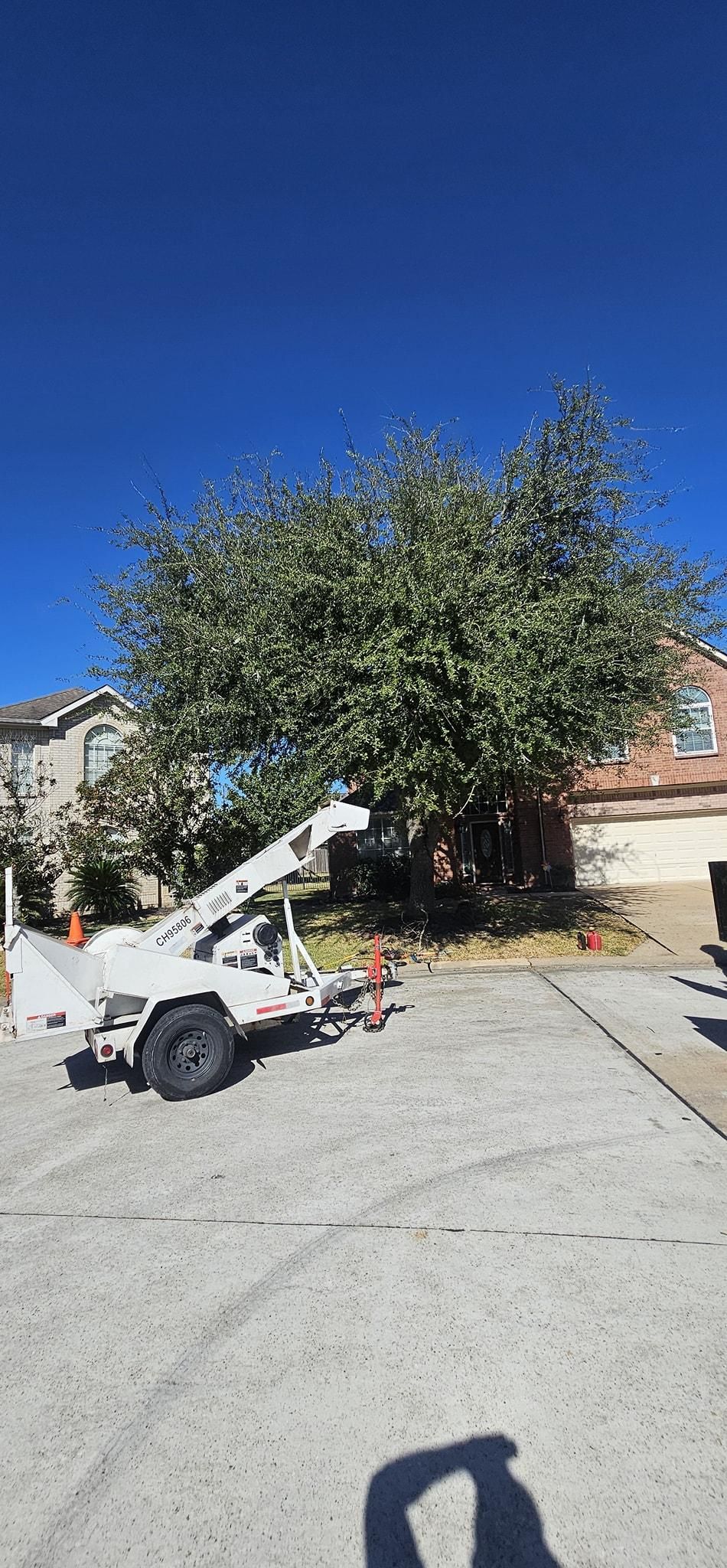  for Servin's Tree Care  in Houston, TX