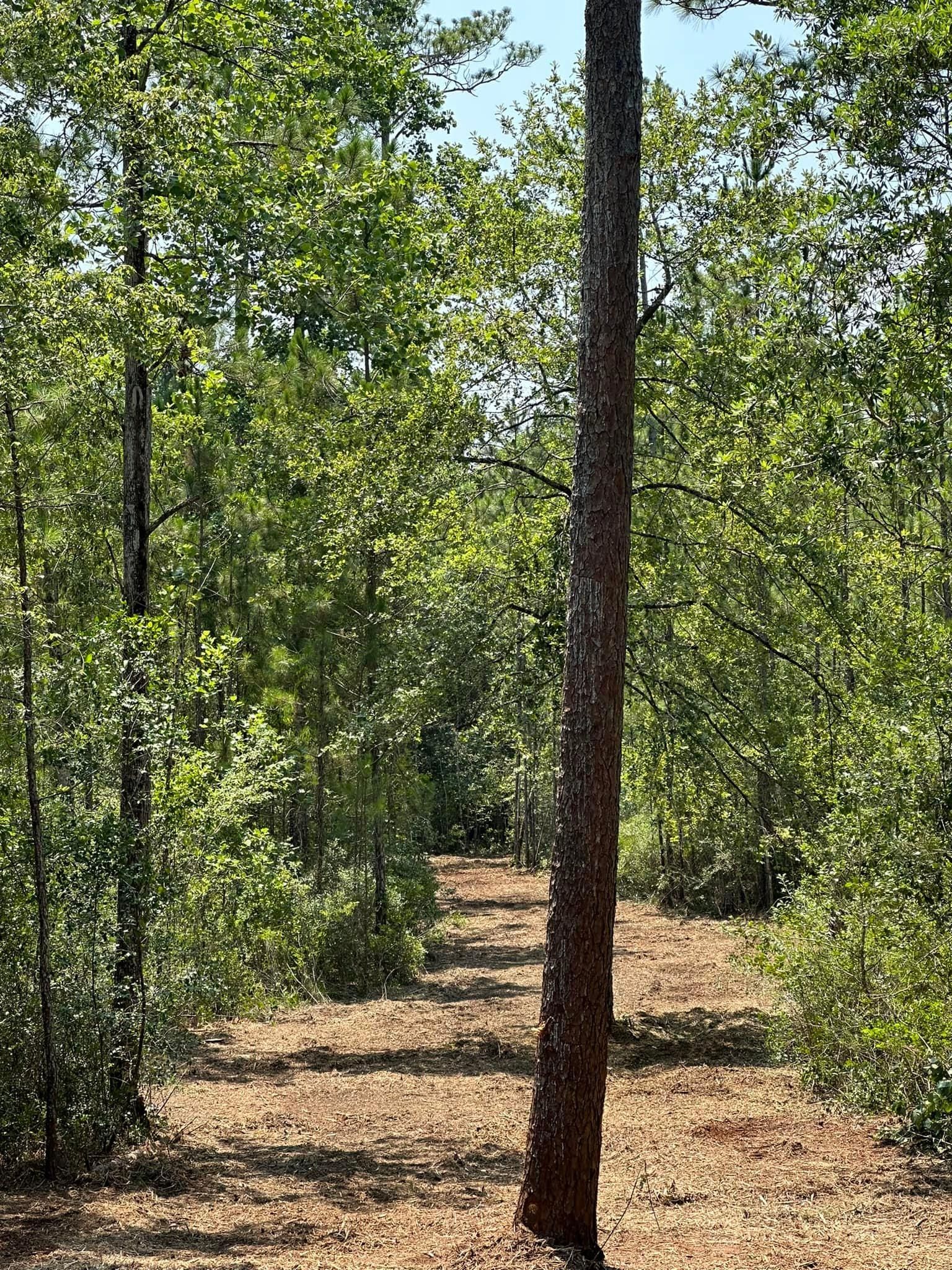  for White’s Land Maintenance in Milton,, FL