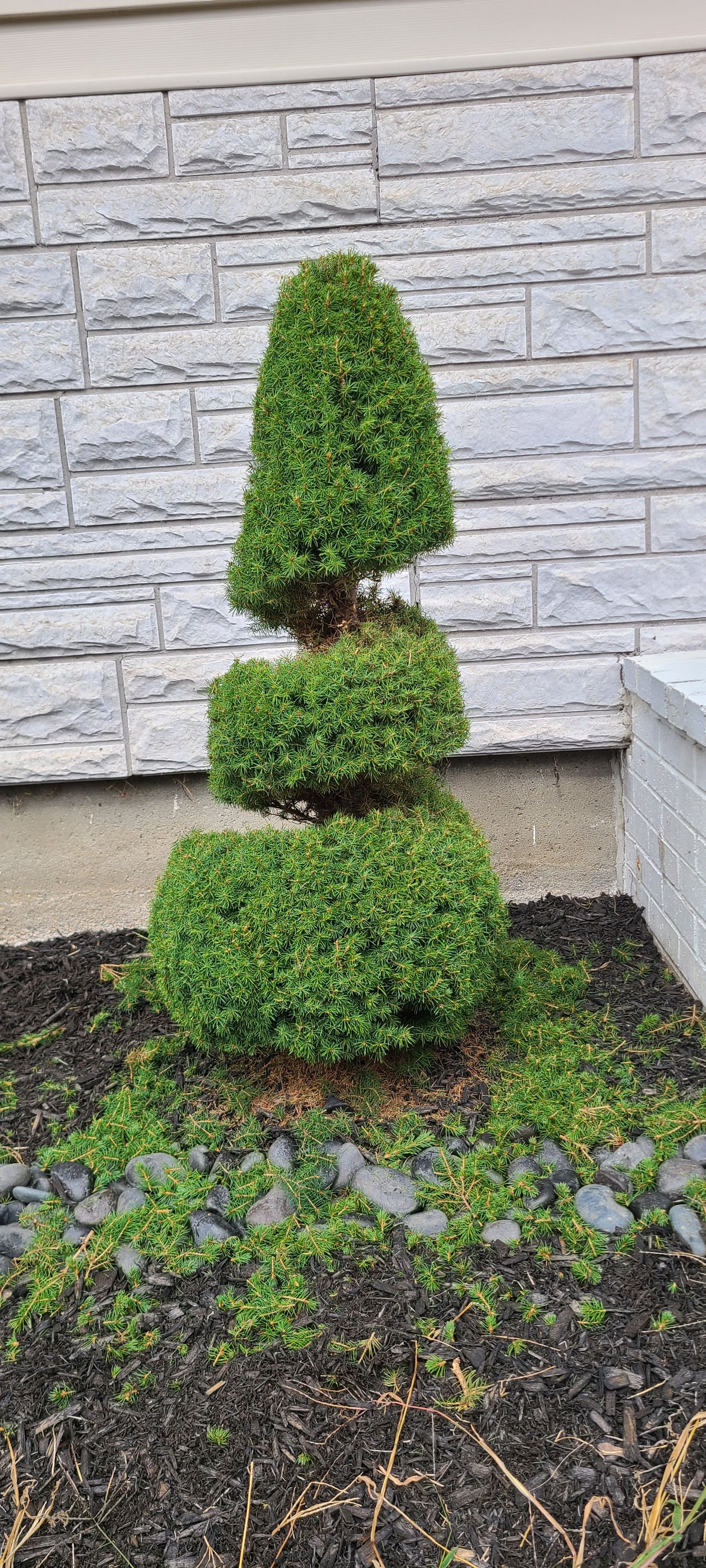  for RK Outdoor Services in Weare, NH