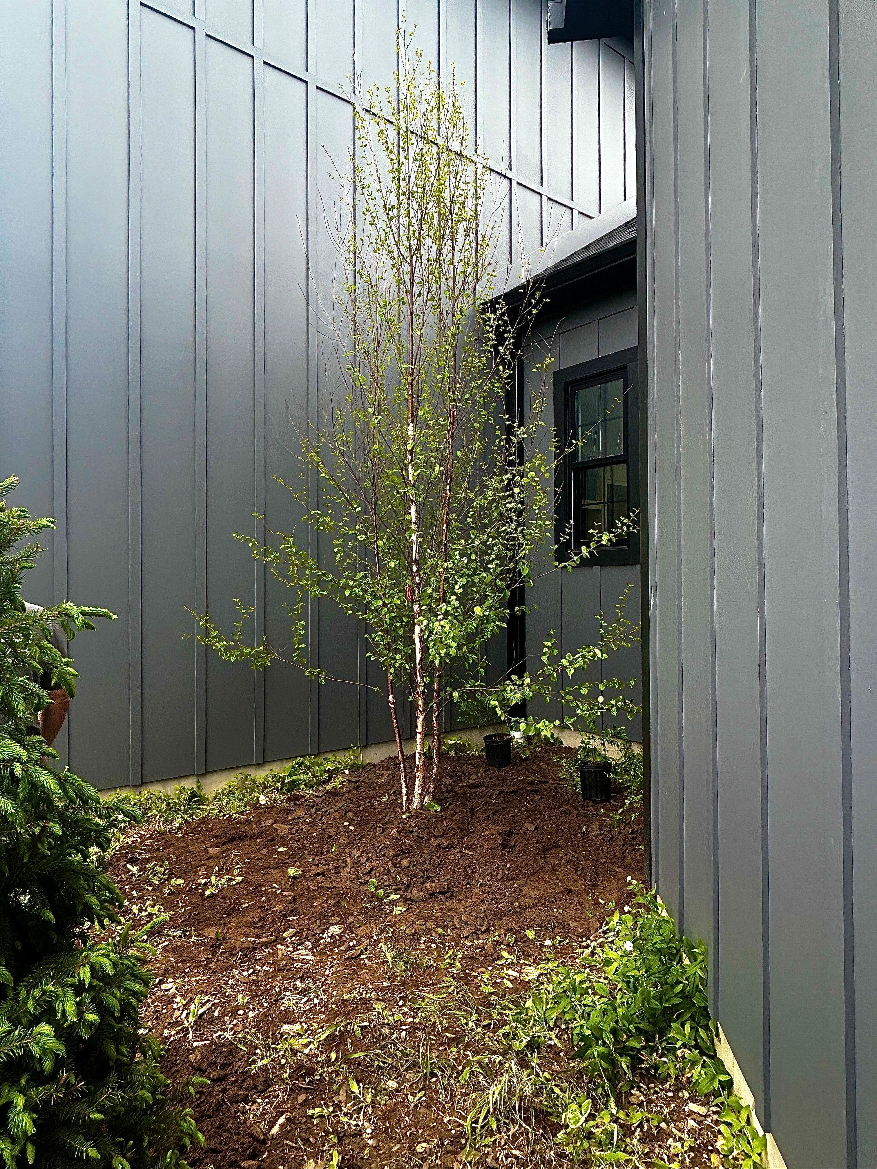  for Tony Monaco Landscaping Inc. in Orange County, NY