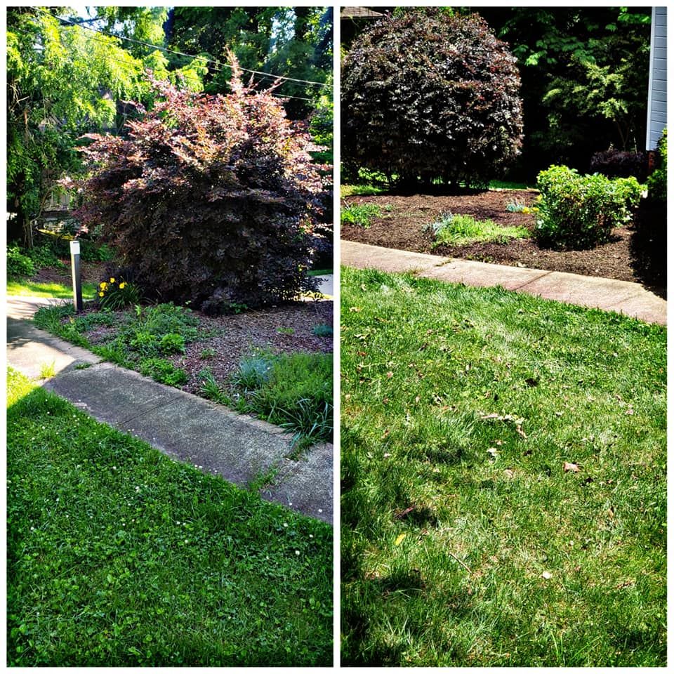  for Ordered Steps Landscaping in Rossville, GA