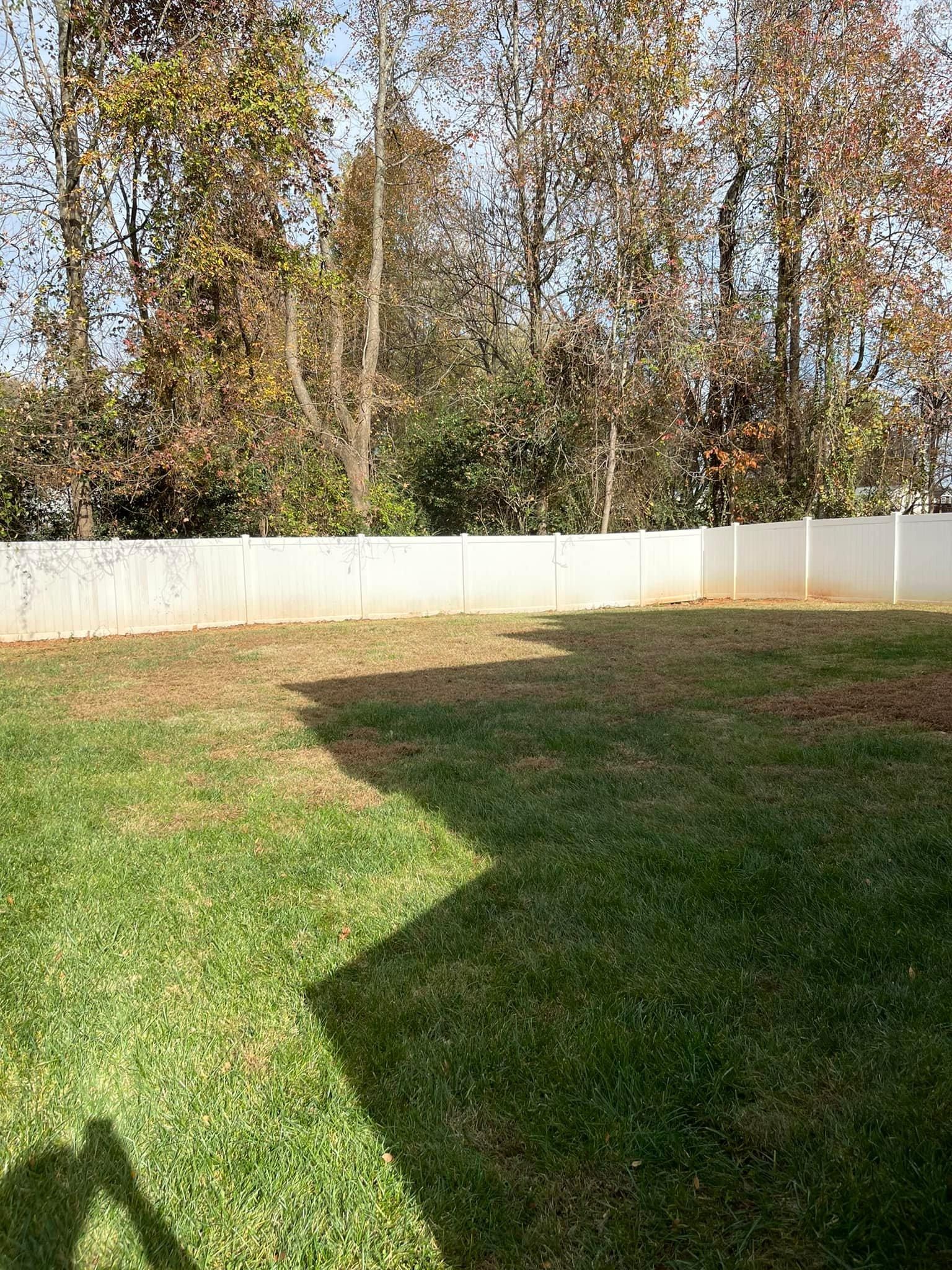  for Stem Tree Service in Belmont, NC