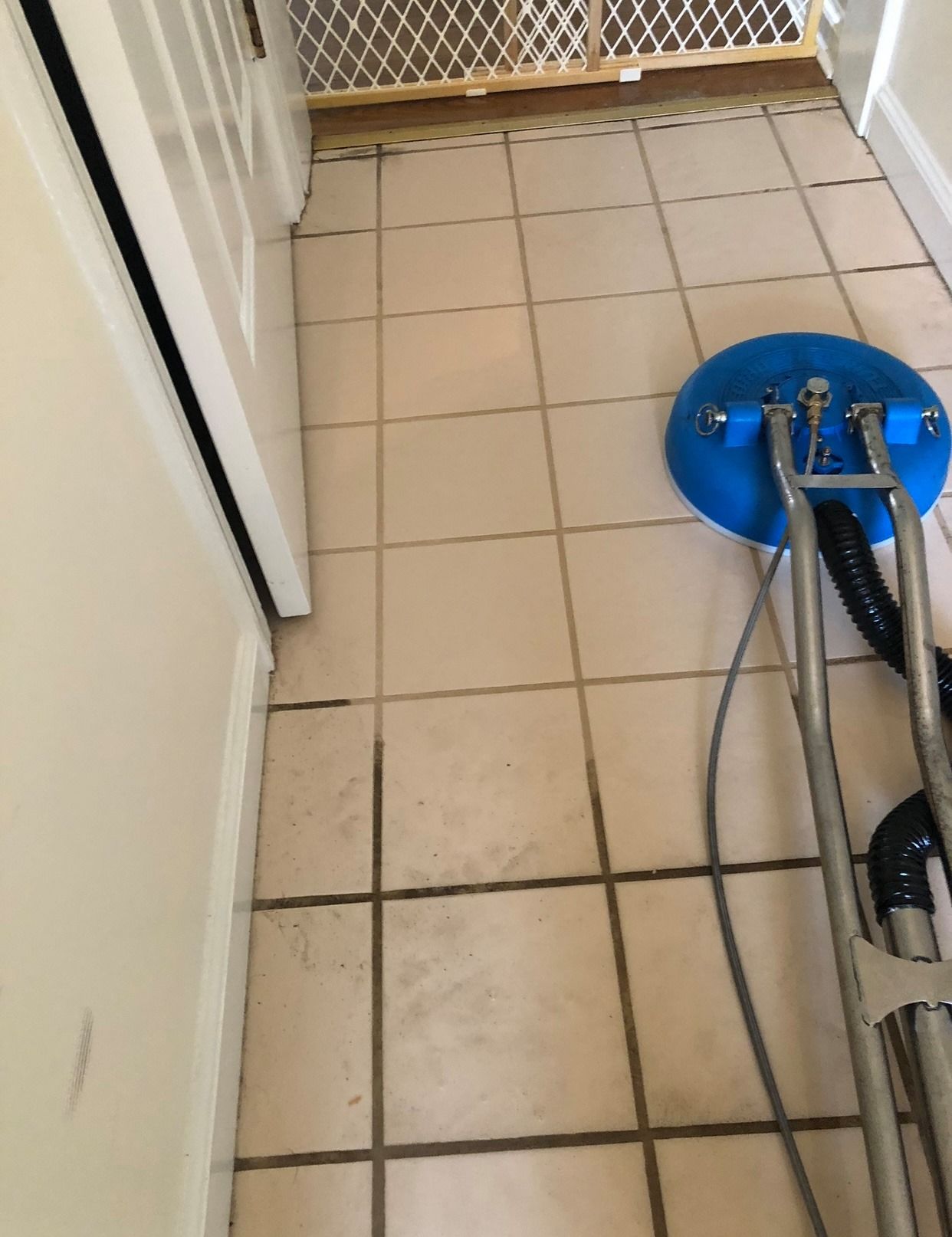  for Banderas Cleaning Service in Elsmere, DE