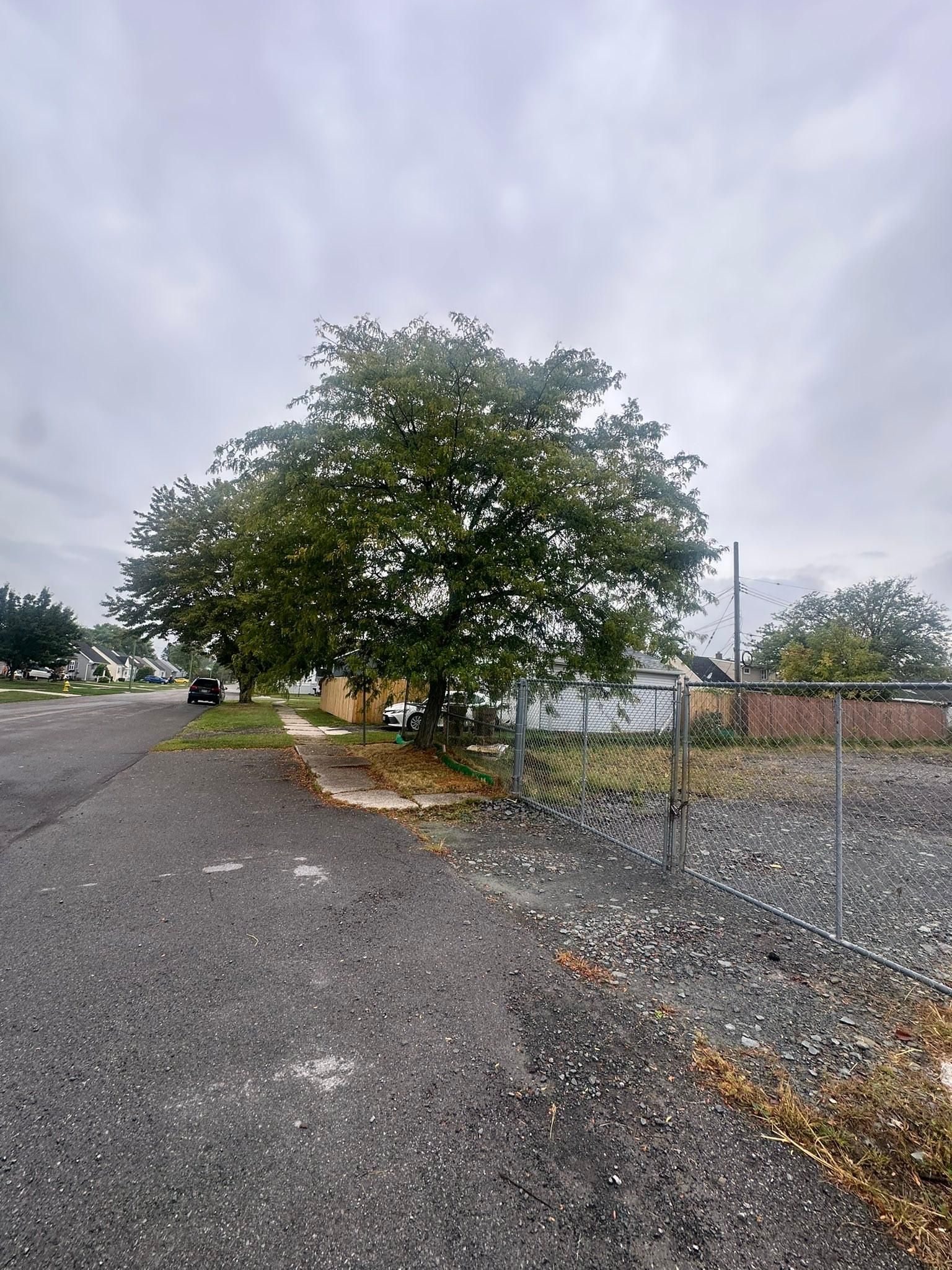  for Hauser's Complete Care INC in Lancaster, NY