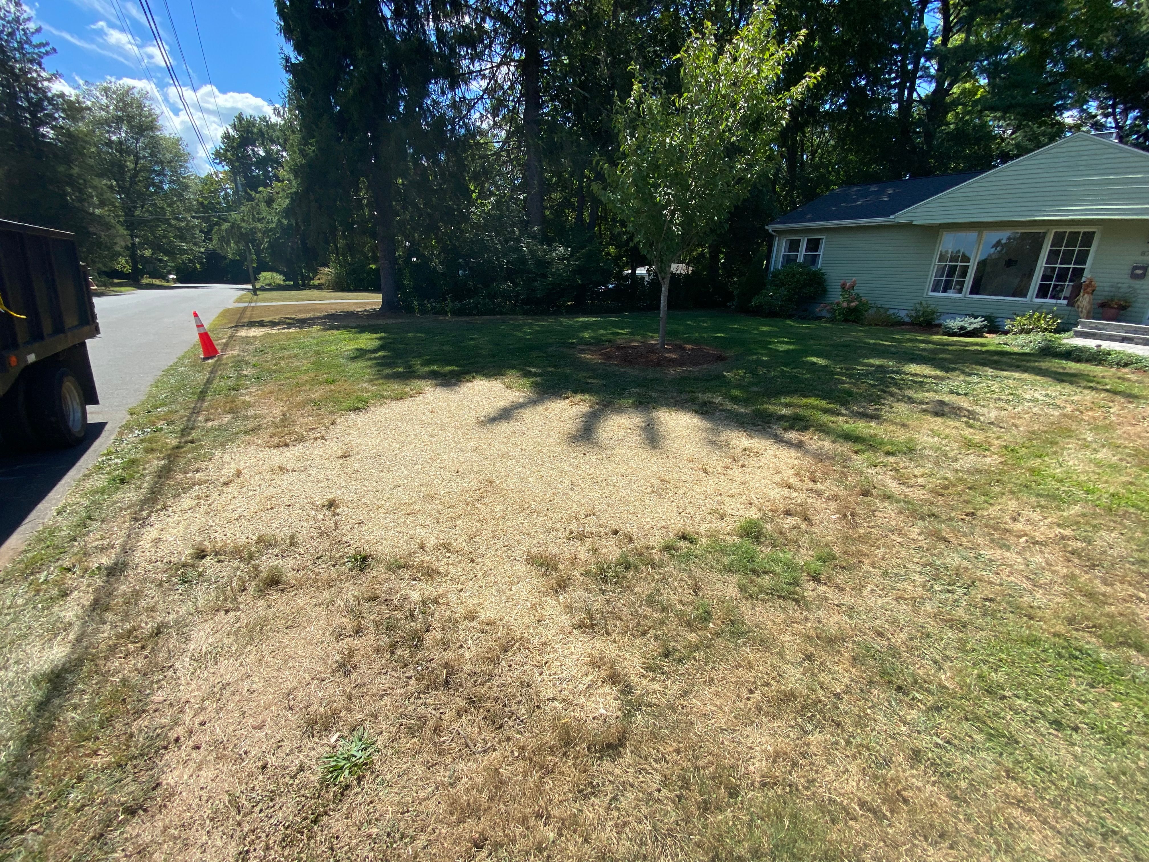  for Stevenson Property Maintenance in Cheshire, CT