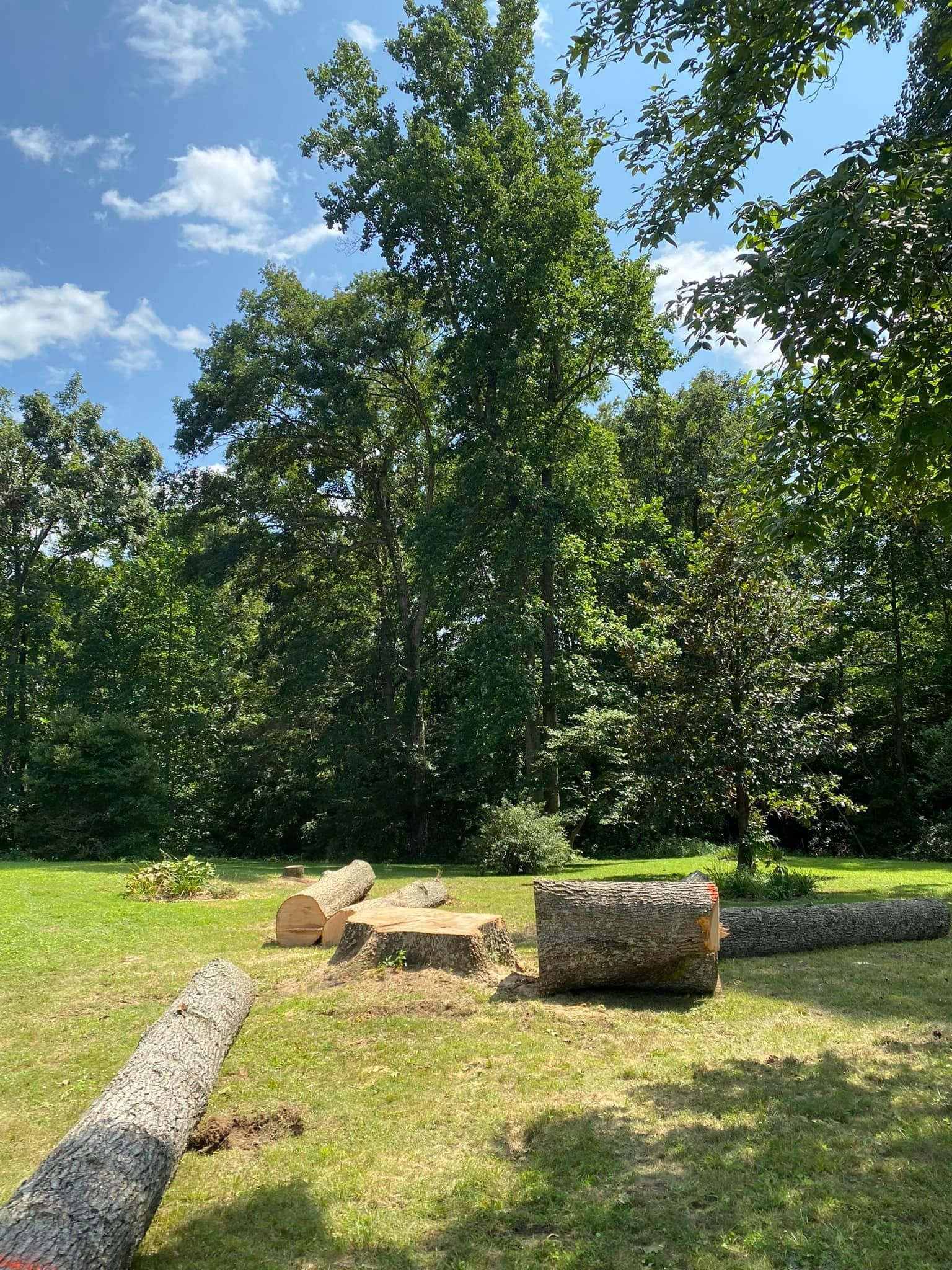 Tree Removal for Atwood’s Tree Care in Liberty,  KY