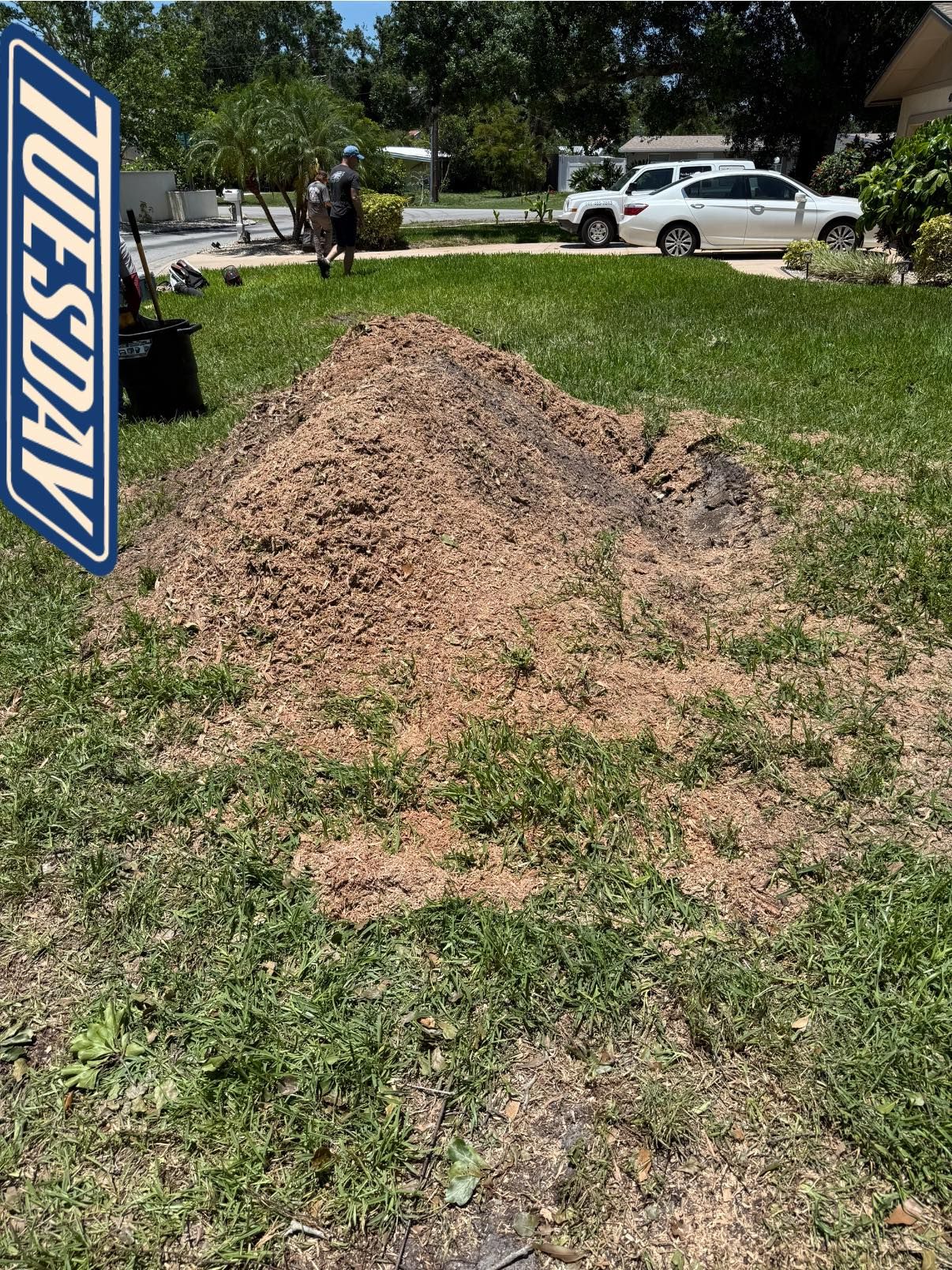  for Grizzly Stump Grinding in Sarasota, FL