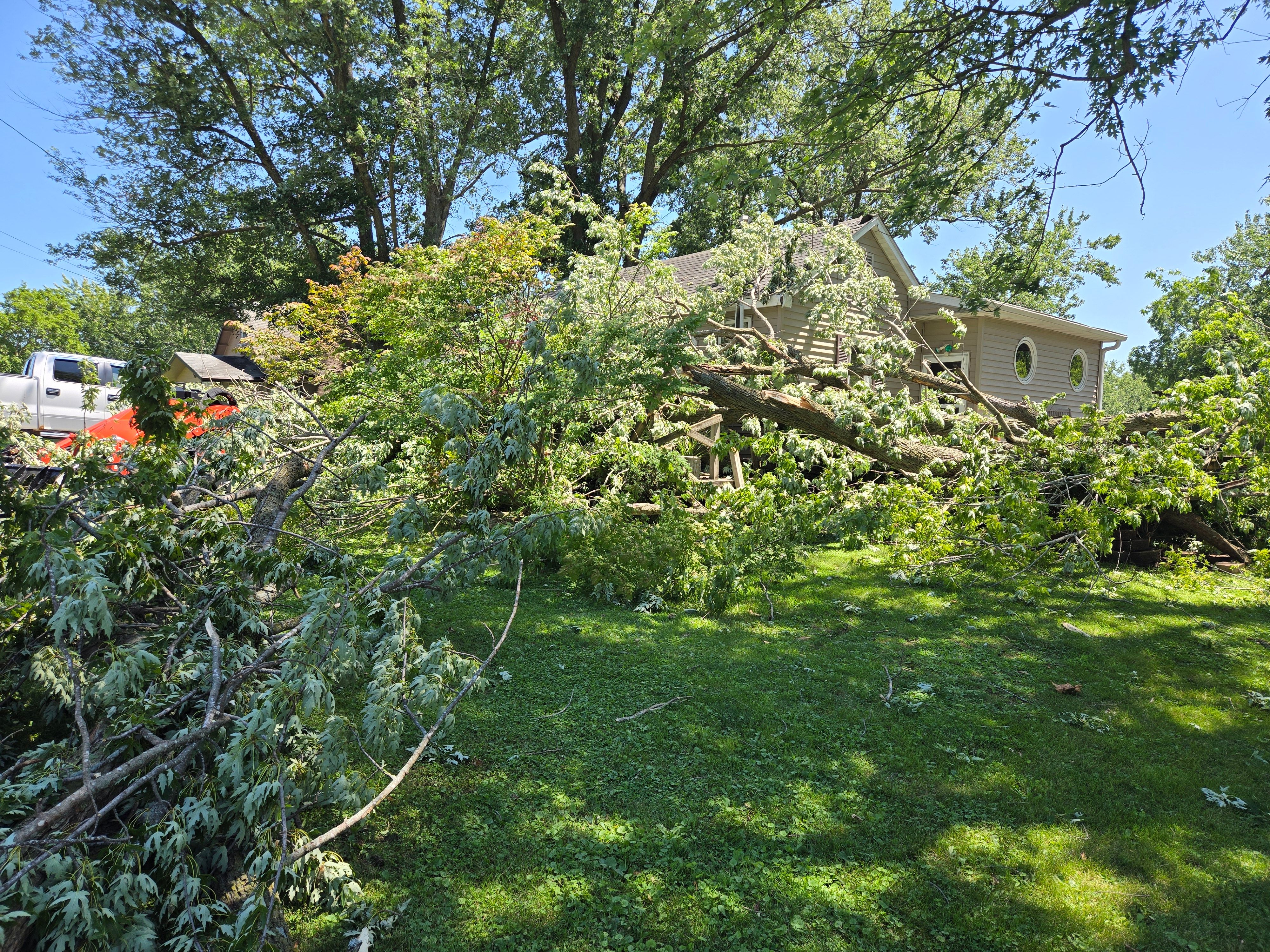 for Lawn Ranger Yard And Tree Service LLC in Ottumwa, IA